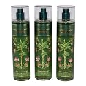 Bath & Body Works Fragrance Mist 3-Pack 8oz Each (Watermelon Mojito) Beauty & Personal Care Bath & Body Works