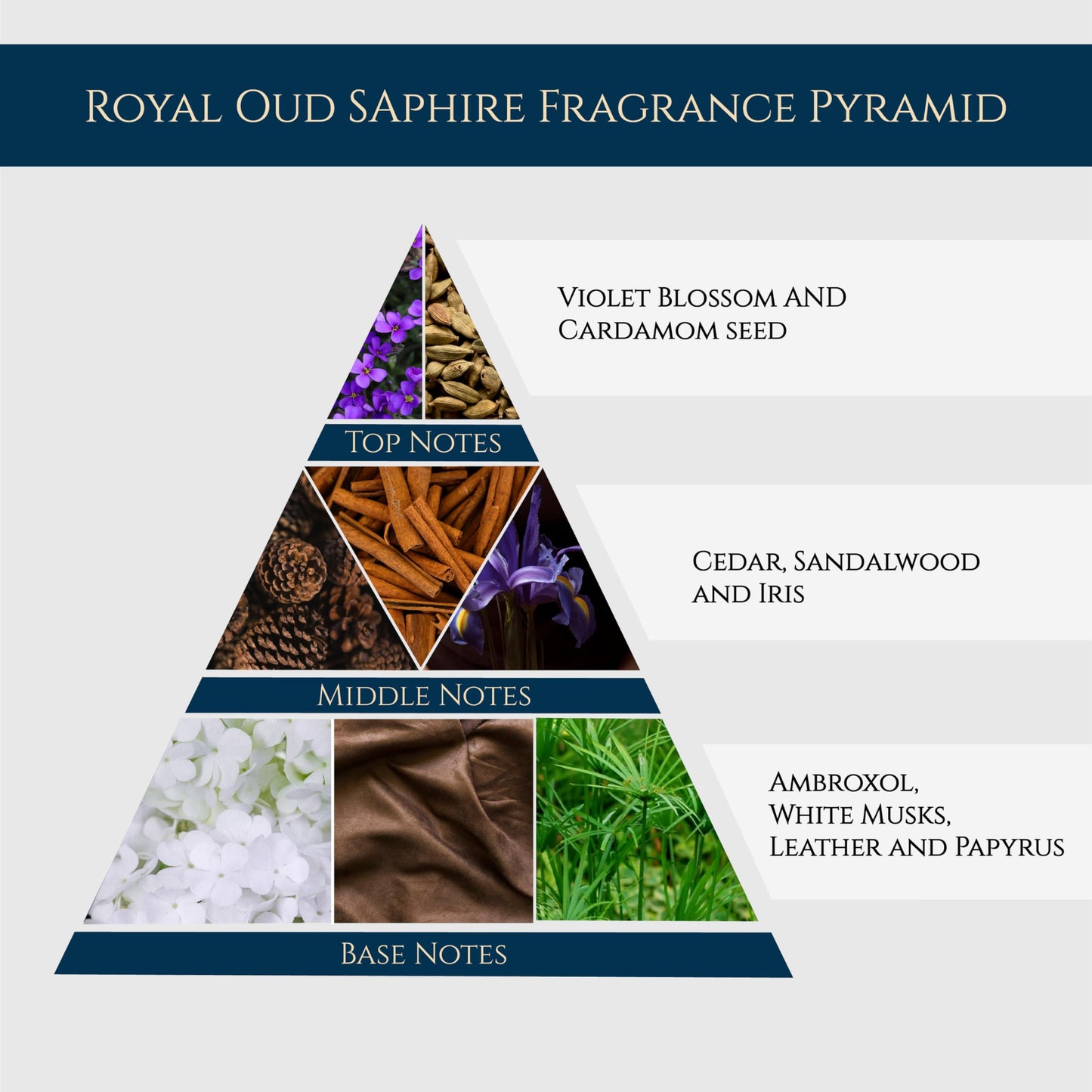 Maison Ghandour Royal Oud Sapphire | Luxury Perfume for Men and Women | Unisex Perfume | Oud Cologne with Cardamom Seed, Violet Blossom & Sandalwood | Beauty & Personal Care Maison GHandour
