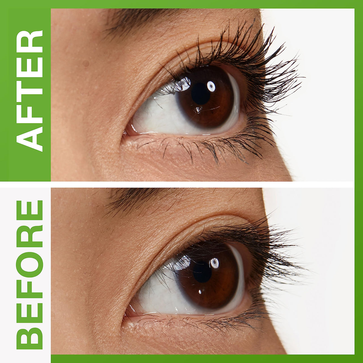 Maybelline New York Define-A-Lash Lengthening Washable Mascara, Very Black. For Washable Definition and Shape in Longer-looking Lashes , 0.22 Fluid Beauty & Personal Care MAYBELLINE