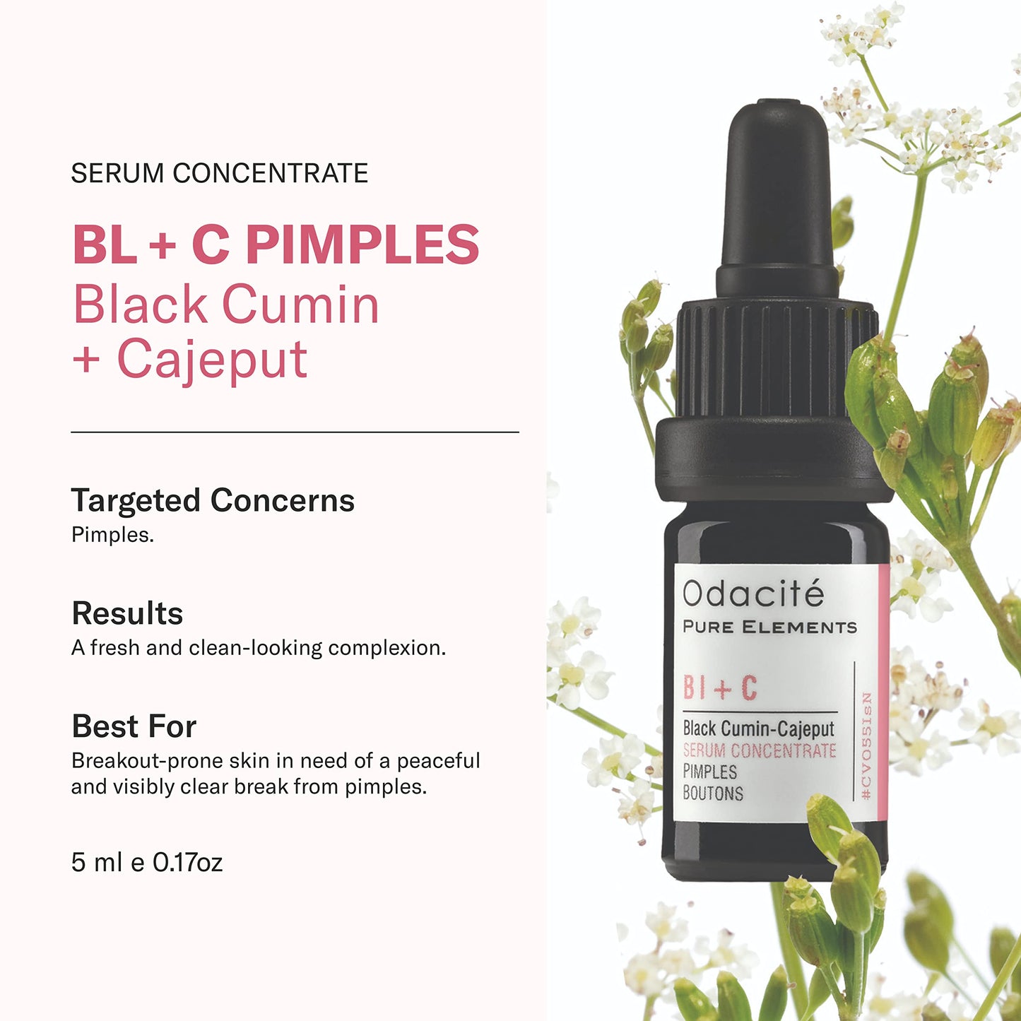 Odacité Bl+C Serum Concentrate for Face, Luxury Black Cumin + Cajeput Pore-Clearing Facial Oil for Pimples & Blemishes, Vegan Vitamin E Spot Treatment Beauty & Personal Care ODACITE