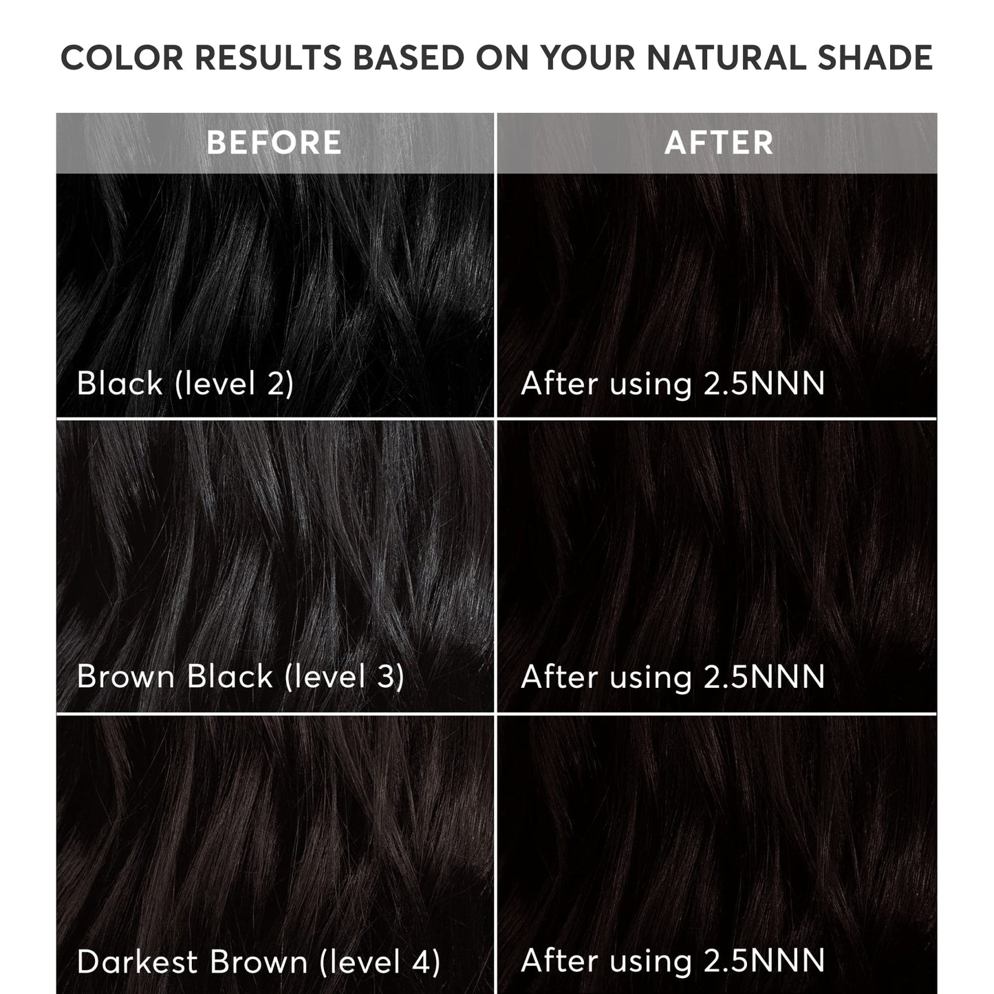 Madison Reed Radiant Hair Color Kit - 100% Gray Coverage for Resistant Grays, 2.5NNN Soft Black (Parma Black) | PPD-Free & Ammonia-Free, 1 Pack Beauty & Personal Care Madison Reed