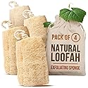 CraftsOfEgypt Natural Loofah Sponge - Egyptian Luffa Body Scrubber Pack of 4 for Men & Women, Natural Bath & Shower Loofah Exfoliator, All Natural Beauty & Personal Care CraftsOfEgypt