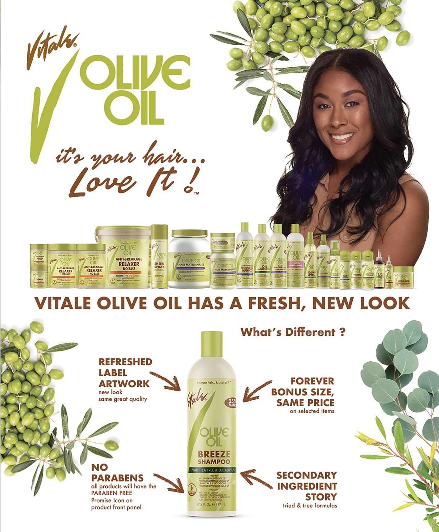 VITALE Olive Oil Breeze Shampoo, 14 Oz Beauty & Personal Care VITALE