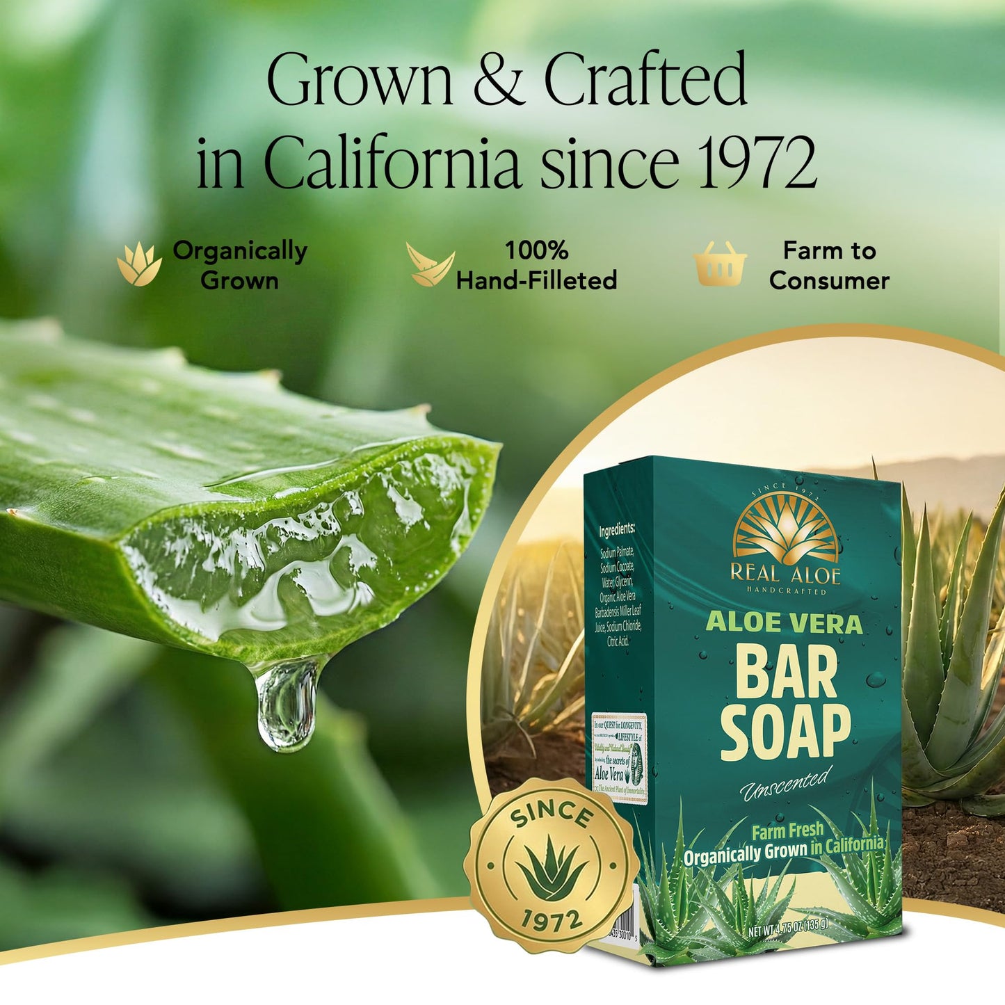 Real Aloe Aloe Vera Bar Soap (4.75 oz) | Organically Grown California Aloe | Gentle, Hydrating Cleanse for Face & Body | Unscented, Travel-Friendly | Beauty & Personal Care Real Aloe