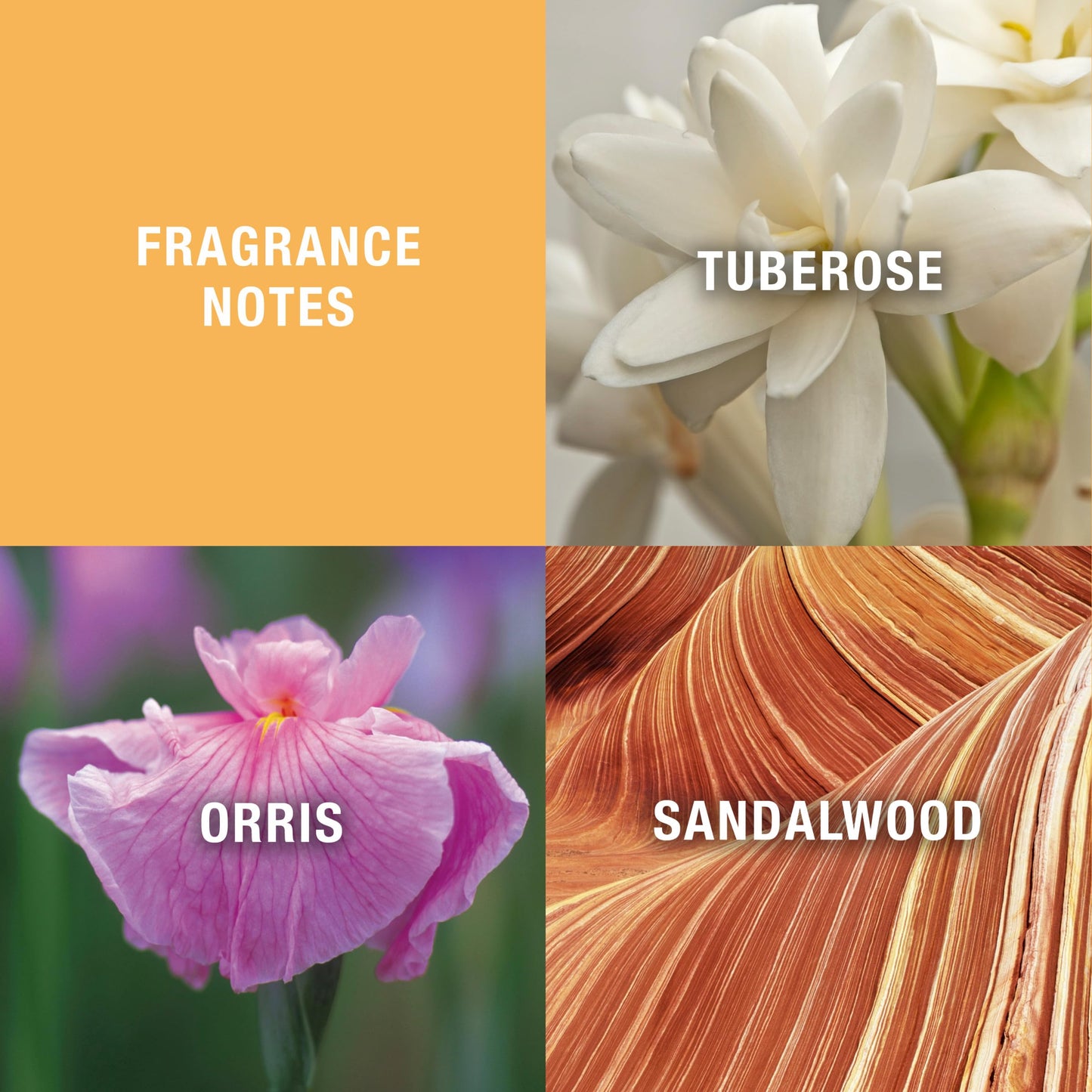 Evyan White Shoulders Perfume Bath Powder for Women, 2.6 oz Beauty & Personal Care Evyan