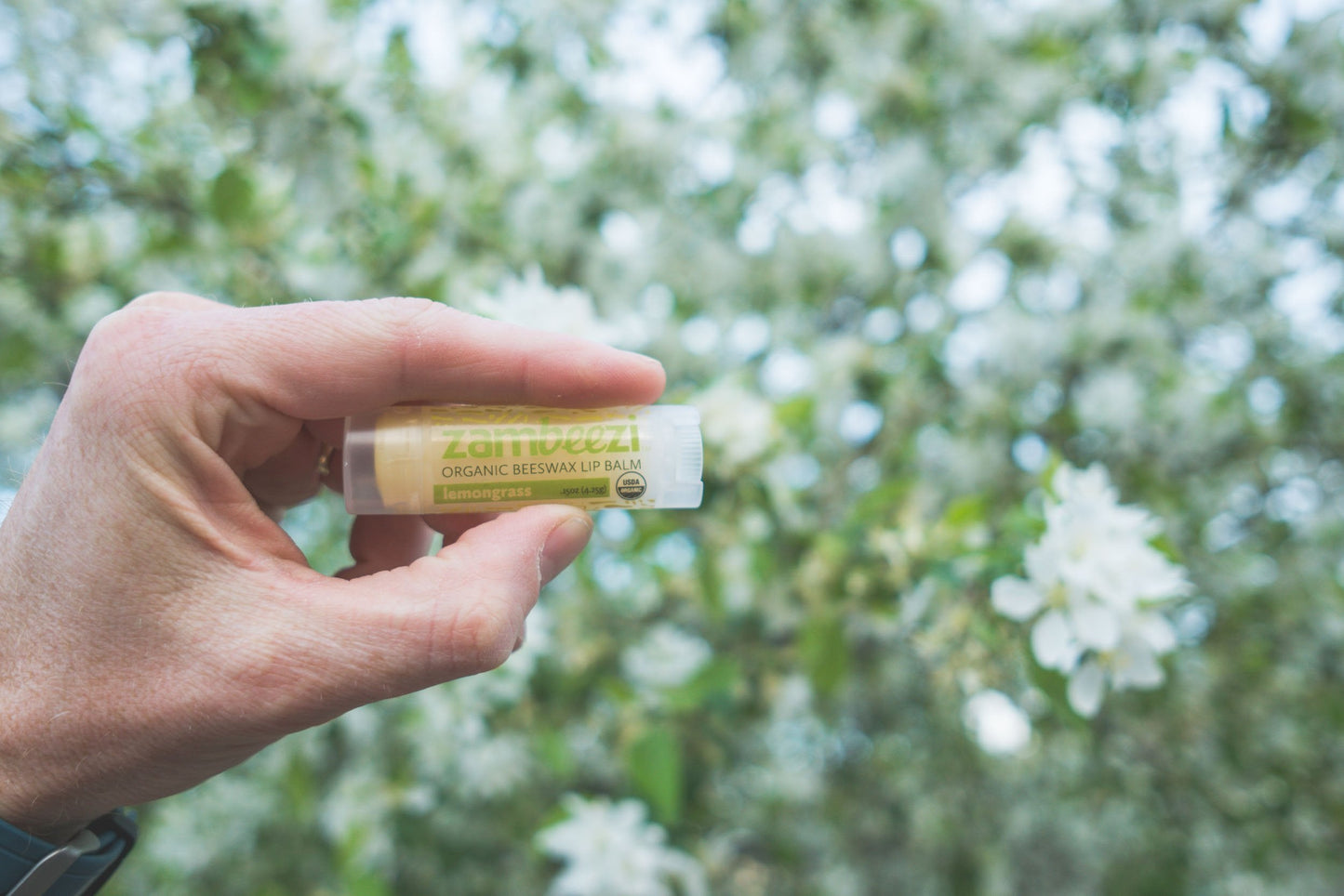 Case of Beeswax Lip Balm by ZAMBEEZI - Lemongrass 24-Tube Carton - Crafted with USDA Organic, Fair Trade, Lip Refreshing Ingredients from Zambia Beauty and Personal Care Case