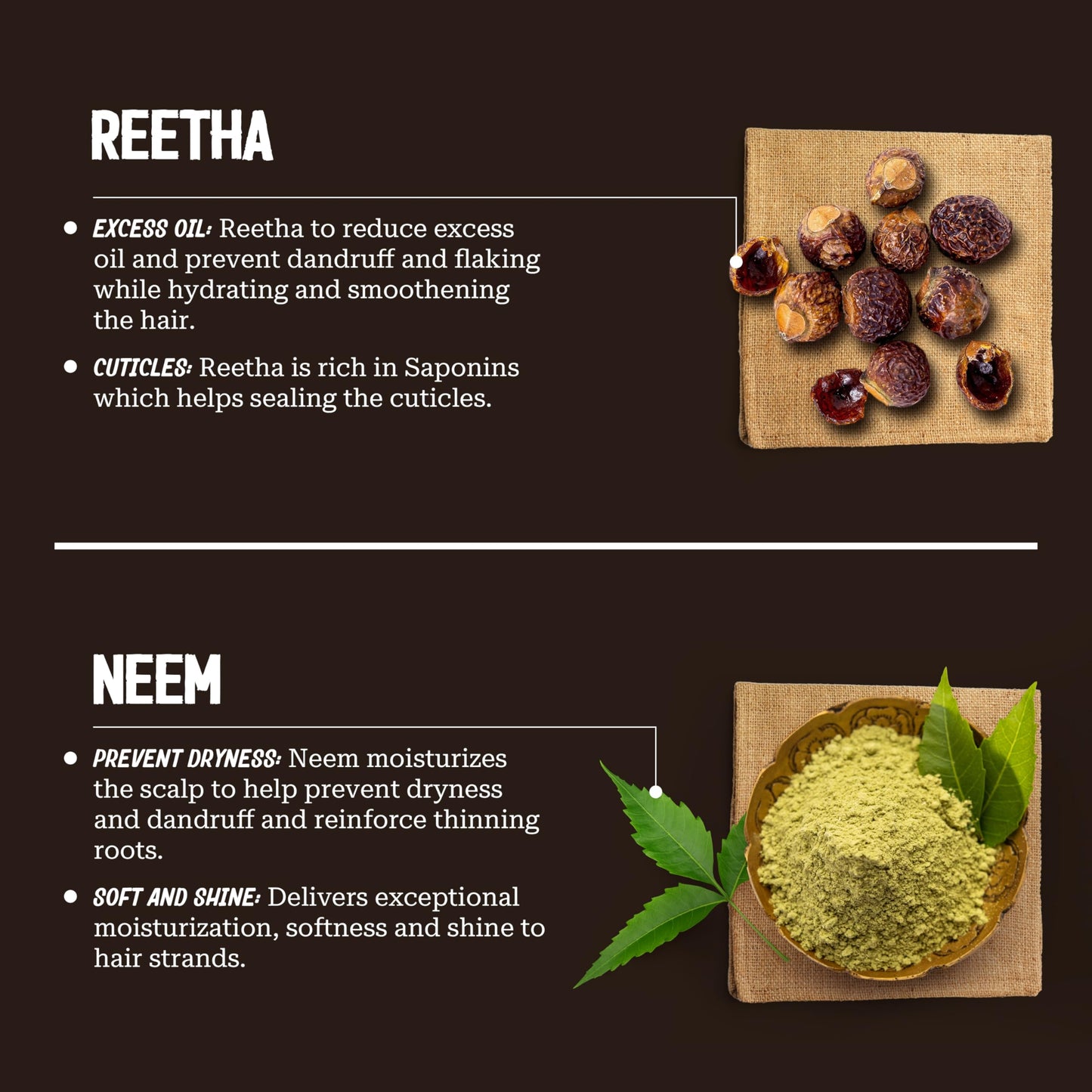 AyurVita Ultra Nourishing Conditioner with Neem & Reetha - Gentle Daily Conditioning for All Hair Types - Nourishes Scalp and Roots - Natural Beauty & Personal Care AyurVita