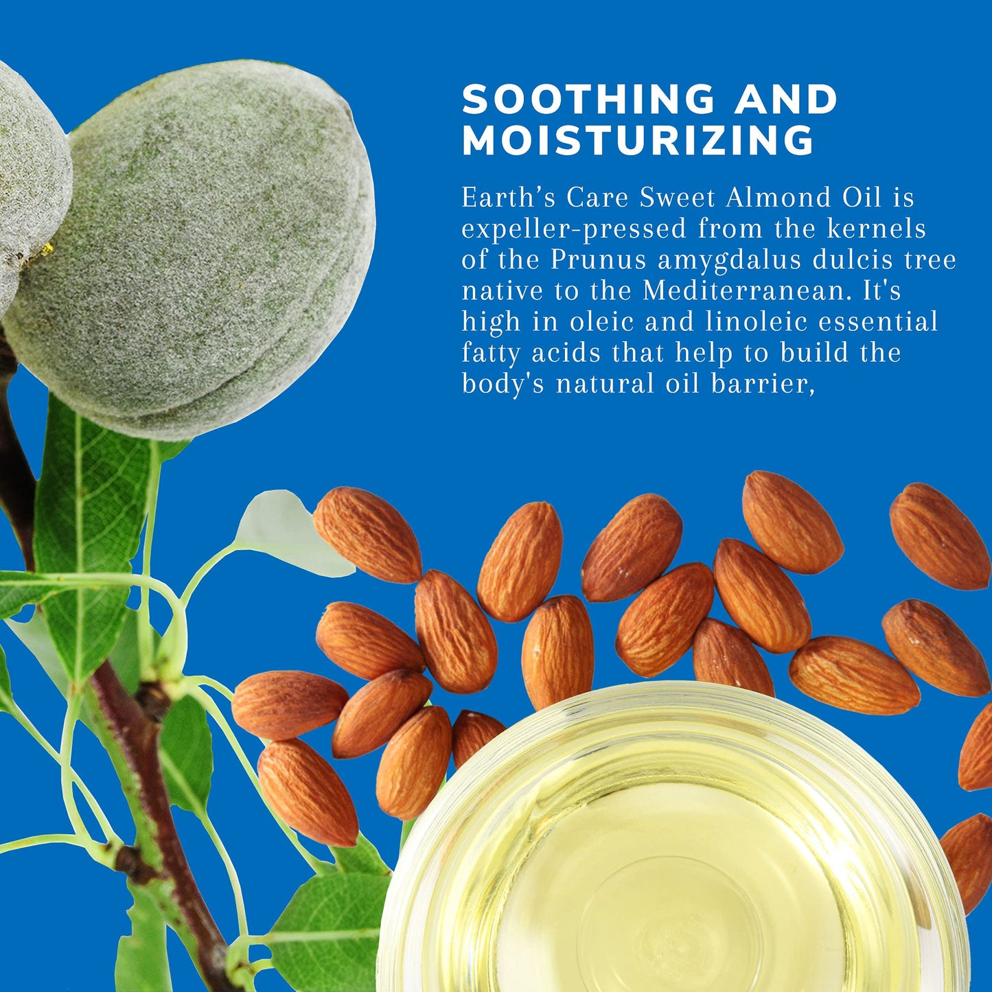 Earth’s Care Sweet Almond Oil - Expeller Pressed Almond Oil for Skin and Hair 8 FL. OZ. (3 Bottles) Beauty & Personal Care Earth's Care