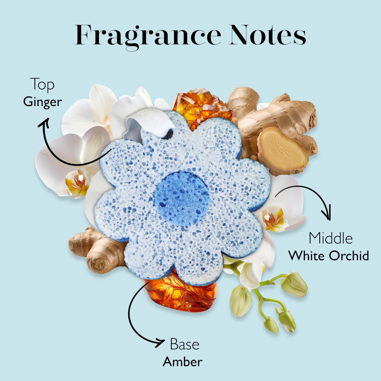 Spongellé White Ginger Hawaiian Buffer - Body Wash Infused Sponge with Awapuhi & Kukui Nut Oil - Exfoliates & Hydrates - 14+ Uses Beauty and Personal Care SPONGELLÉ