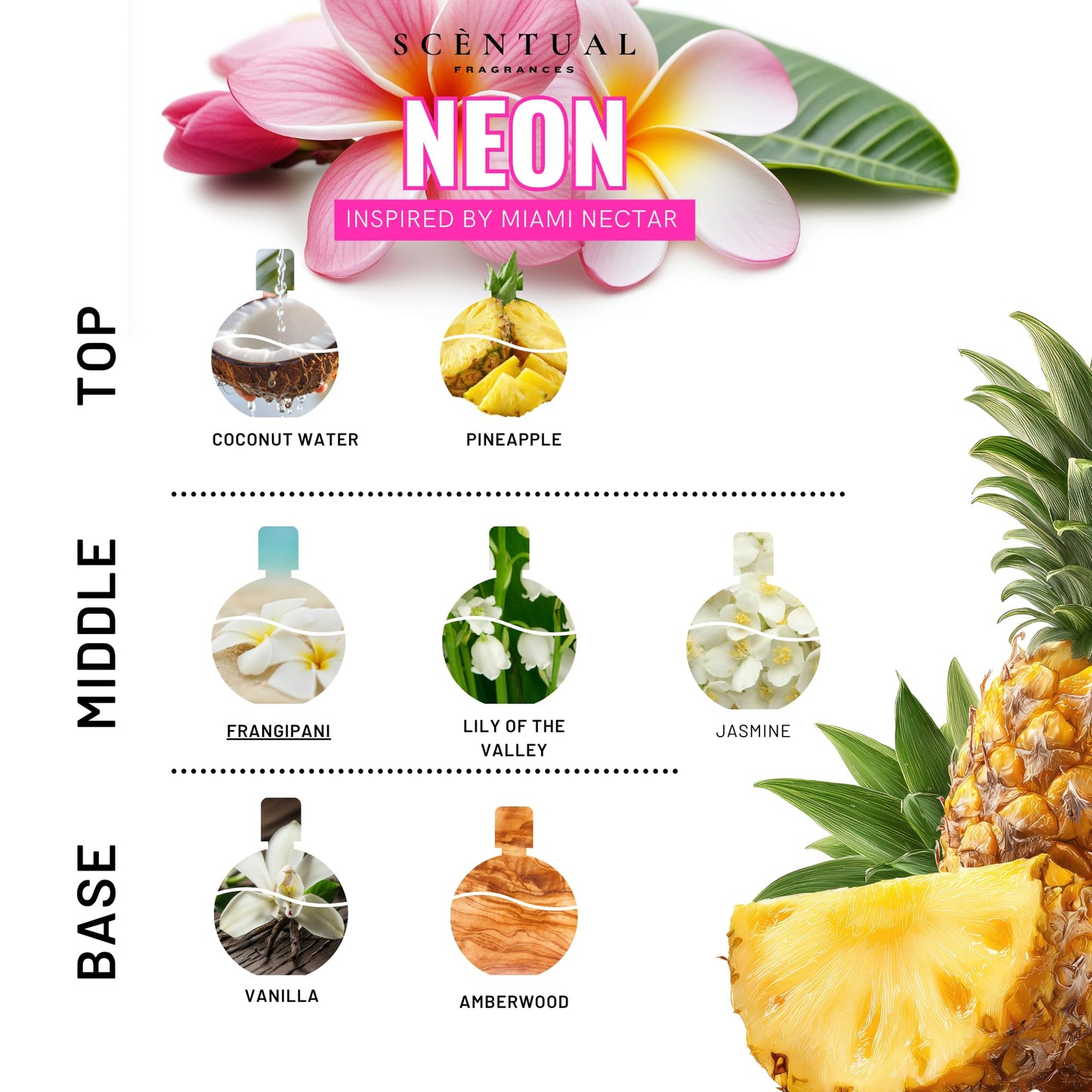 Scentual Fragrances, Neon Ultra-Concentrated Hair & Body Perfume Mist, Long Lasting Women's Fragrance, Gourmand Perfumes for Women, Vegan and Cruelty Beauty & Personal Care Scentual Fragrances