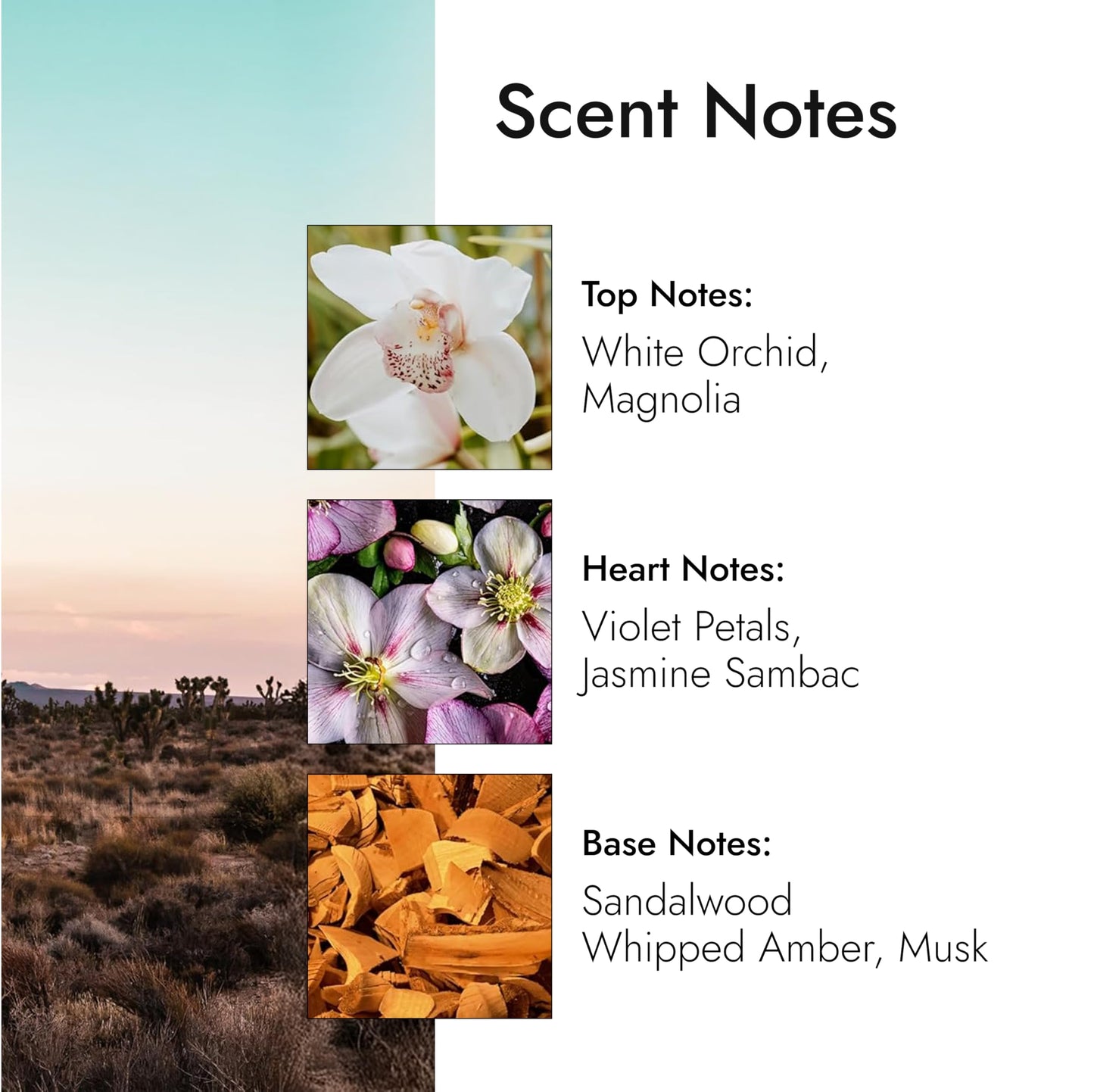 Modern Memory Mojave Flower Eau de Parfum for Women, 2.5 fl oz - Notes of Magnolia, Sandalwood & Musk Beauty & Personal Care Modern Memory