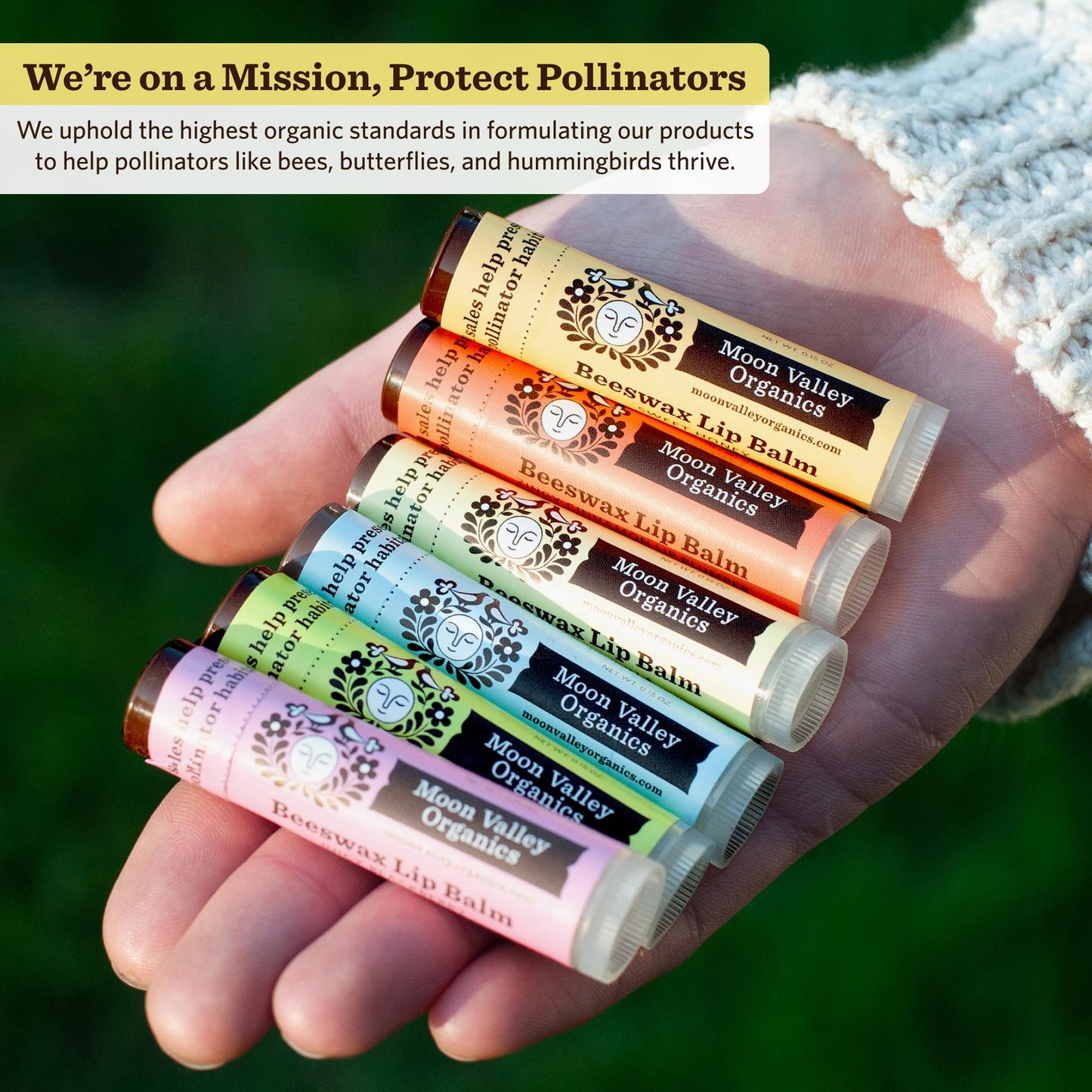 Moon Valley Organics Beeswax Lip Balm for Moisturizing Lips and Cuticles (Vanilla | Lime | Honey | Blackberry | Mint Vanilla, 5-Pack) Beauty & Personal Care Moon Valley Organics