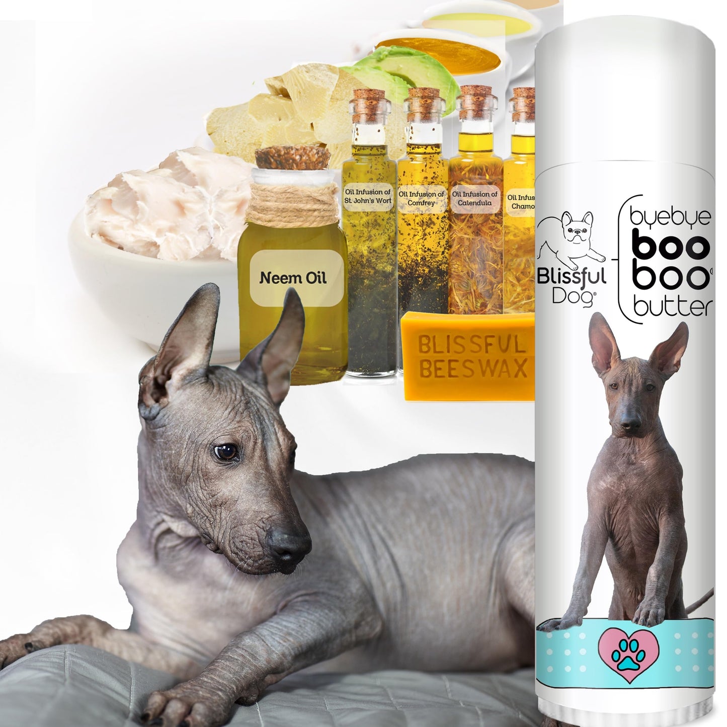 The Blissful Dog Xoloitzcuintli Boo Butter, 0.50 oz Beauty and Personal Care The Blissful Dog