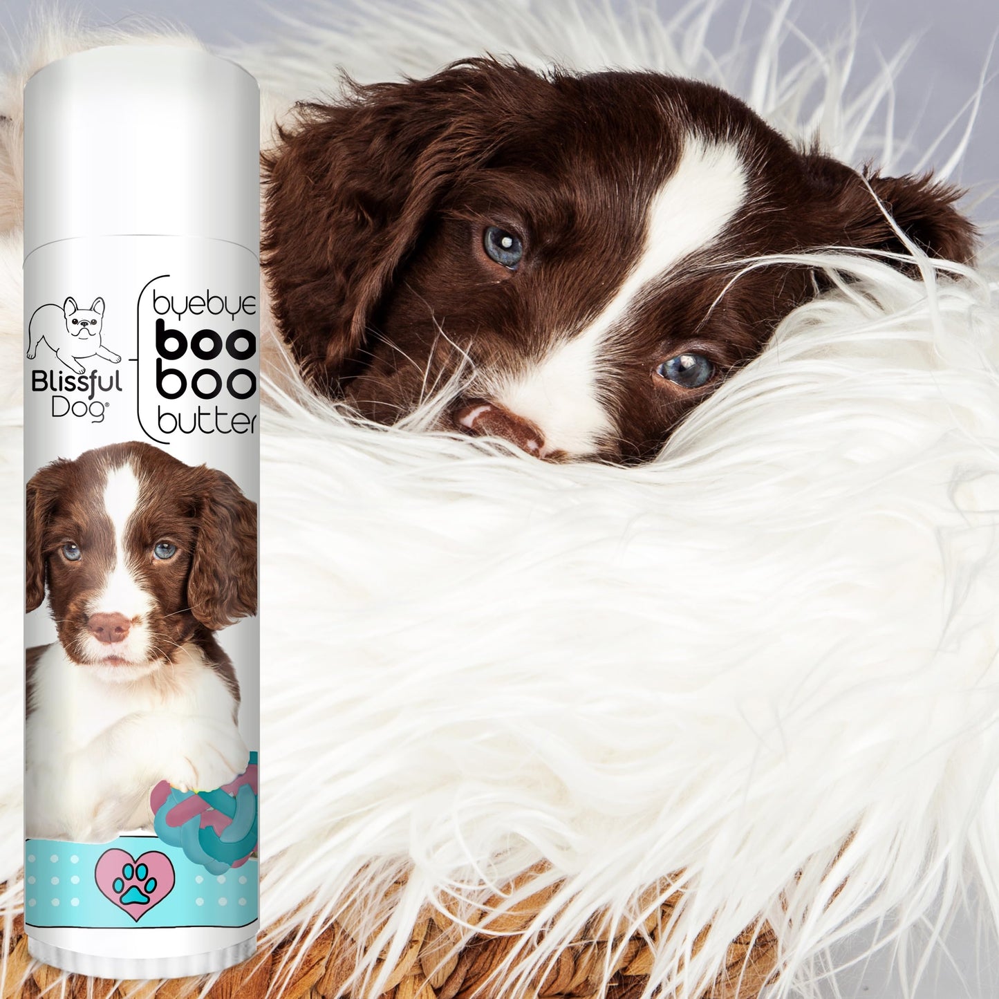The Blissful Dog Springer Spaniel Boo Butter, 0.50 oz Beauty and Personal Care The Blissful Dog