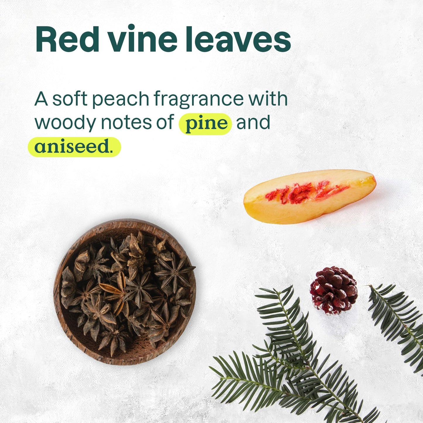 ATTITUDE Body Wash, EWG Verified Shower Gel, Dermatologically Tested, Plant and Mineral-Based, Vegan Personal Care Products, Red Vine Leaves, 16 Fl Oz Beauty & Personal Care BIO SPECTRA ATTITUDE