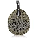 Clean Logic Charcoal Infused Sea Foam Body Sponge (6 Pack) Beauty & Personal Care Cleanlogic
