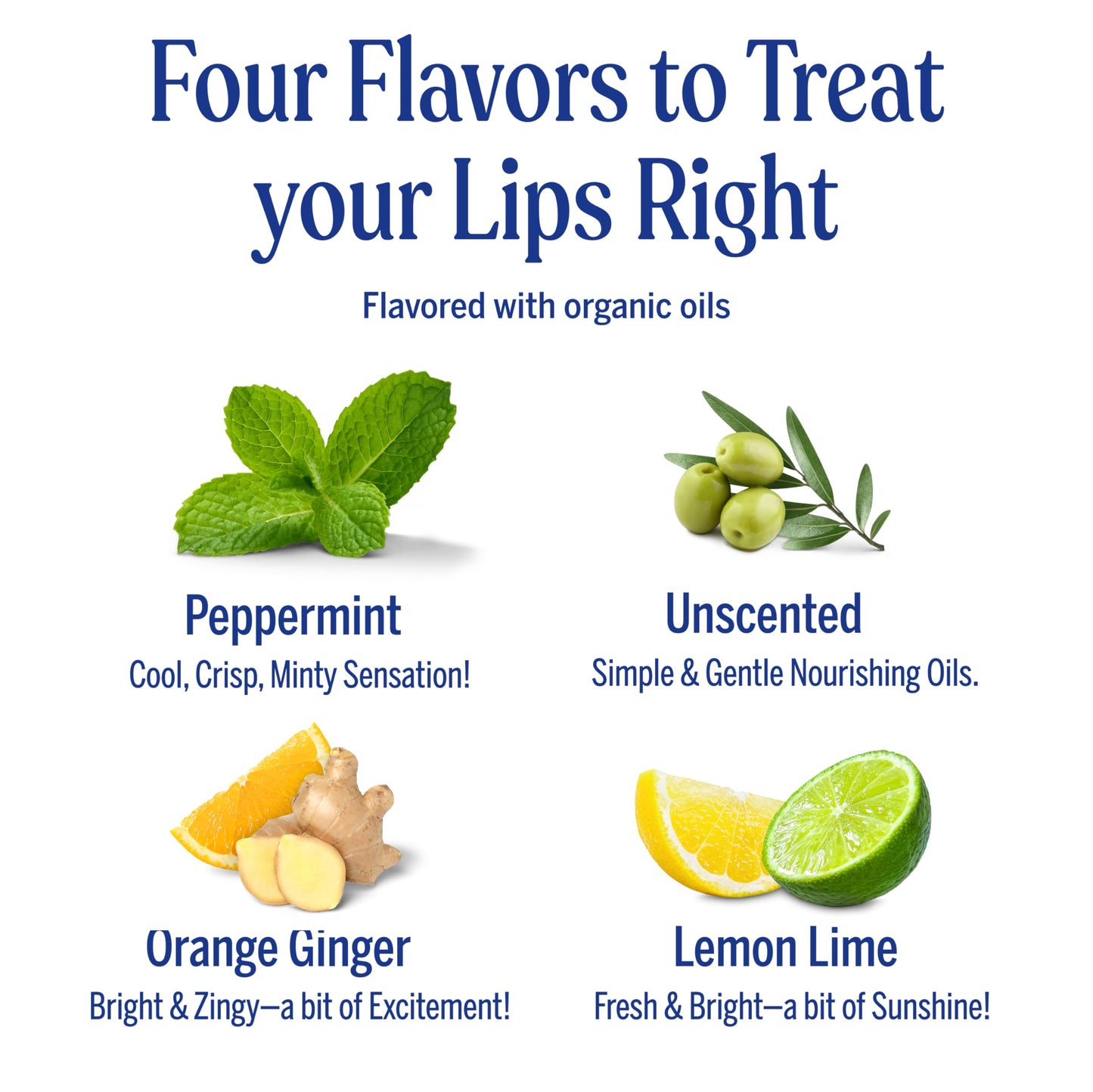 Dr. Bronner's - Organic Lip Balm Variety Peppermint, Orange Ginger, Naked, Lemon Lime) - Made with Organic Beeswax and Avocado Oil, For Dry Lips Beauty & Personal Care Dr. Bronner's