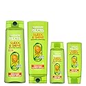 Garnier Fructis Sleek & Shine Full + Travel Size Shampoo (12.5 & 3 Fl Oz) + Conditioner (12 & 3 Fl Oz) Set for Frizzy, Dry Hair, Plant Keratin + Argan Beauty & Personal Care Garnier