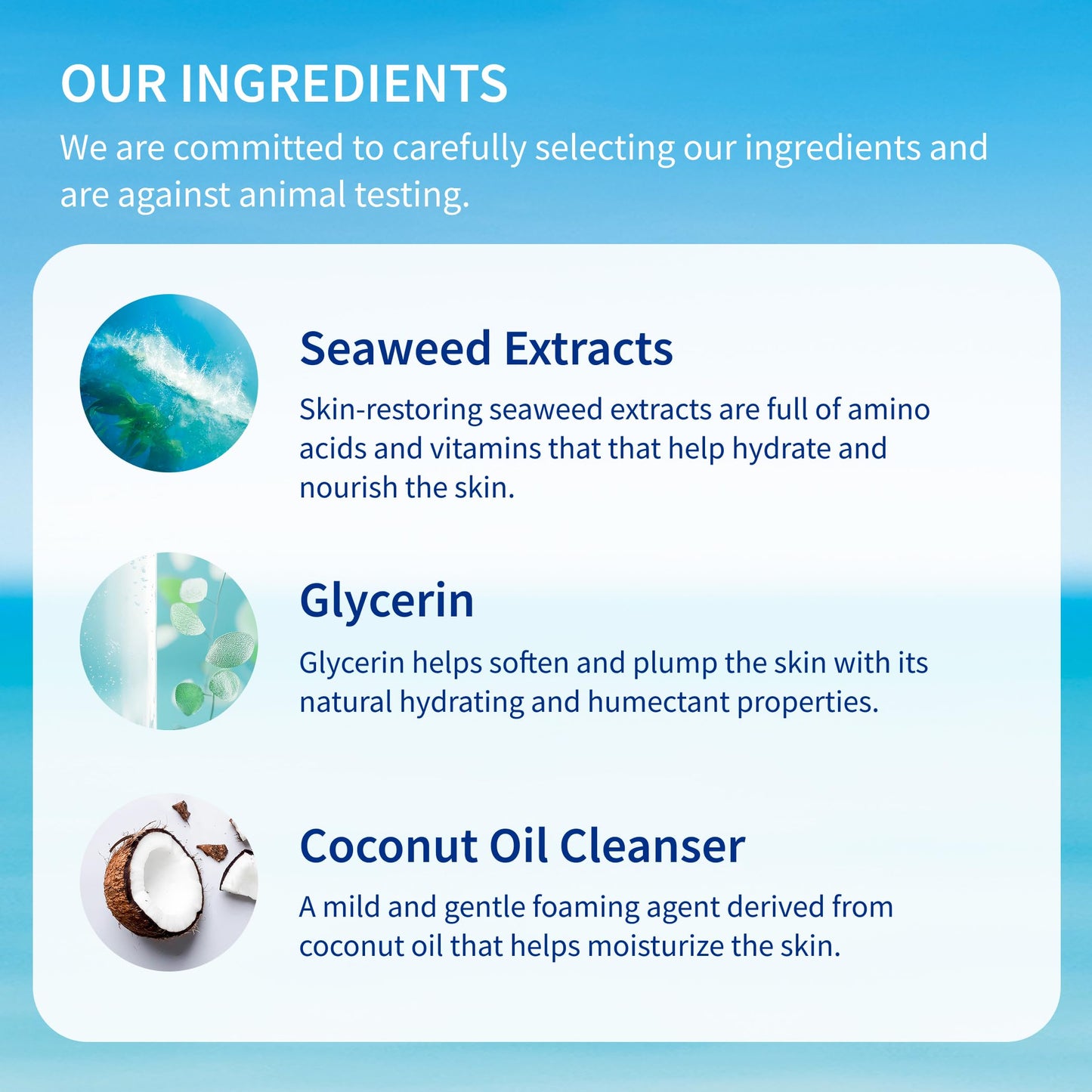 Inis the Energy of the Sea Refreshing Bath and Shower Gel - Travel Size Body Wash for Women and Men - Ocean Fresh Fragrance - 2.9 Fl Oz Beauty & Personal Care Inis the Energy of the Sea
