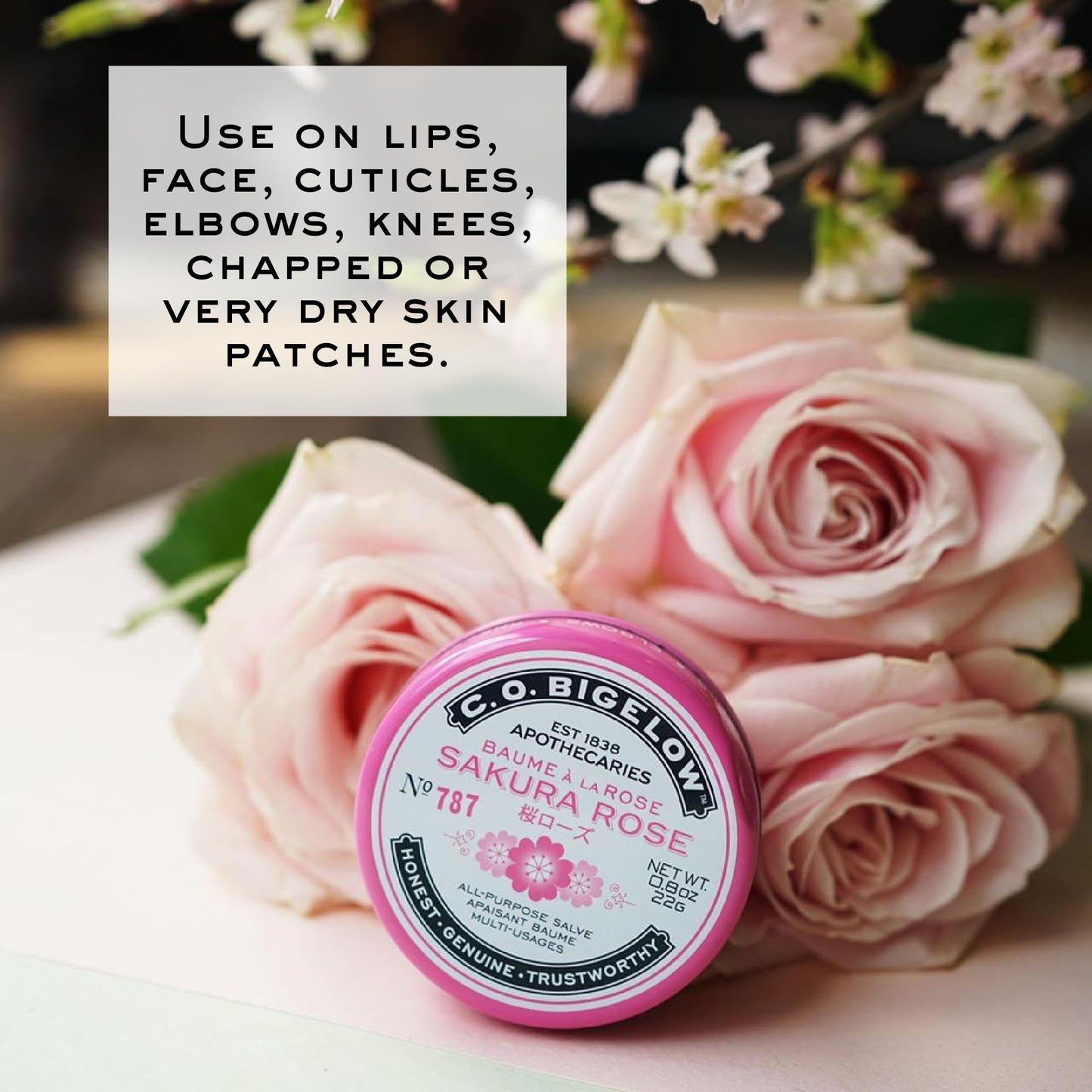 C.O. Bigelow Sakura Rose Salve Tins, Pack of 3 Lip Balm Tins, All Purpose Salve for Lips, Cuticles, Hands & Dry Skin, Lip Balm Set, 0.8 oz Beauty & Personal Care C. O. Bigelow