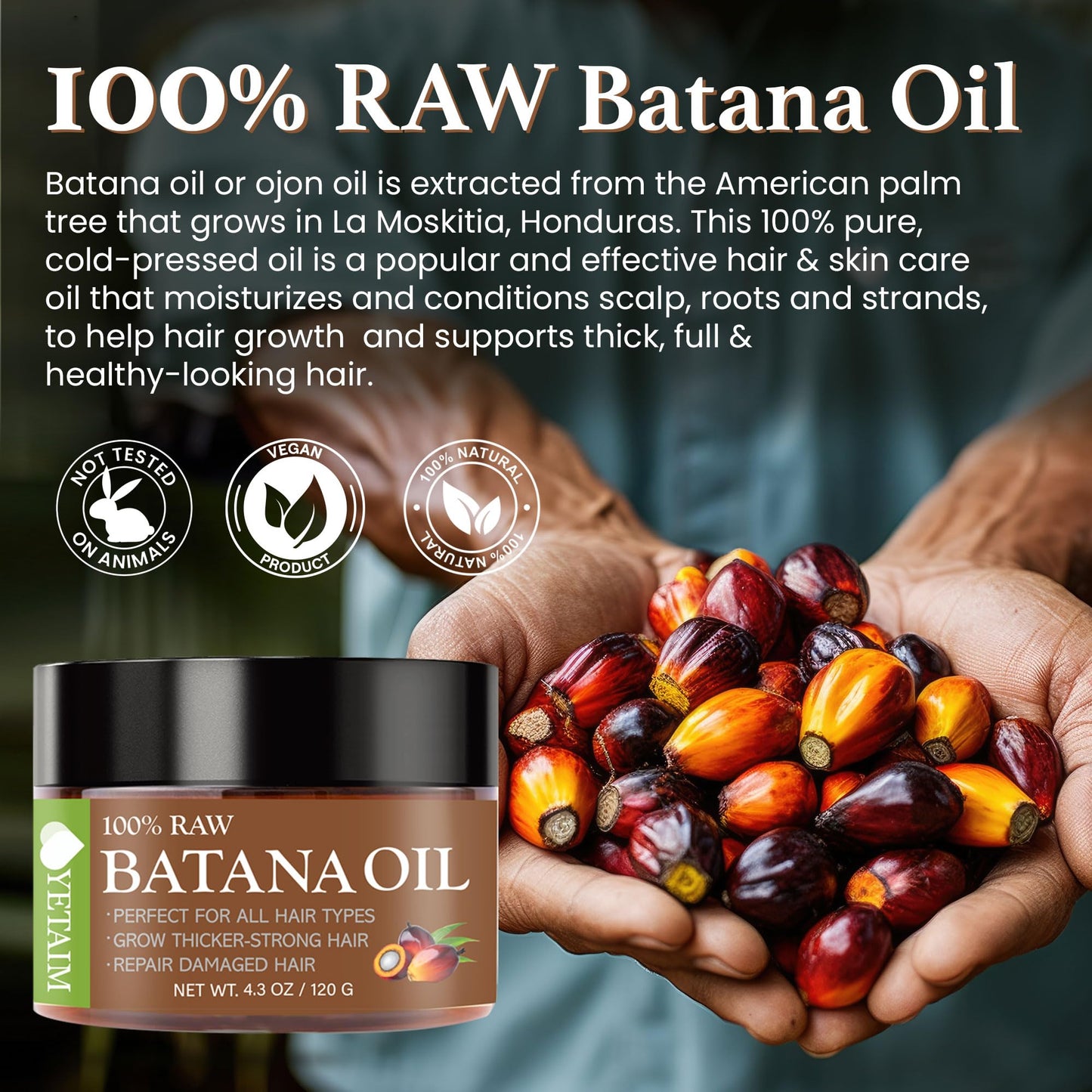 YETAIM Batana Oil for Hair Growth: 100% Natural Batana Oil Sourced from Honduras - Dr. Sebi Batana Oil Beauty & Personal Care YETAIM