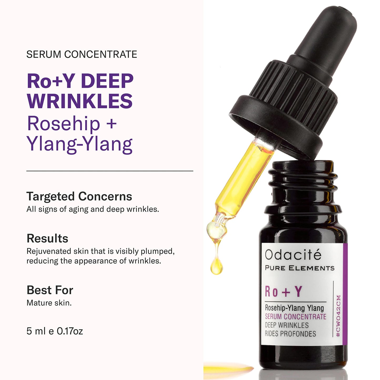 Odacité Anti Aging Serum Concentrate with Rosehip + Ylang-Ylang - Lightweight Facial Serum For Mature Skin, Fine Lines, Nourishes for Look of Plump Beauty & Personal Care ODACITE