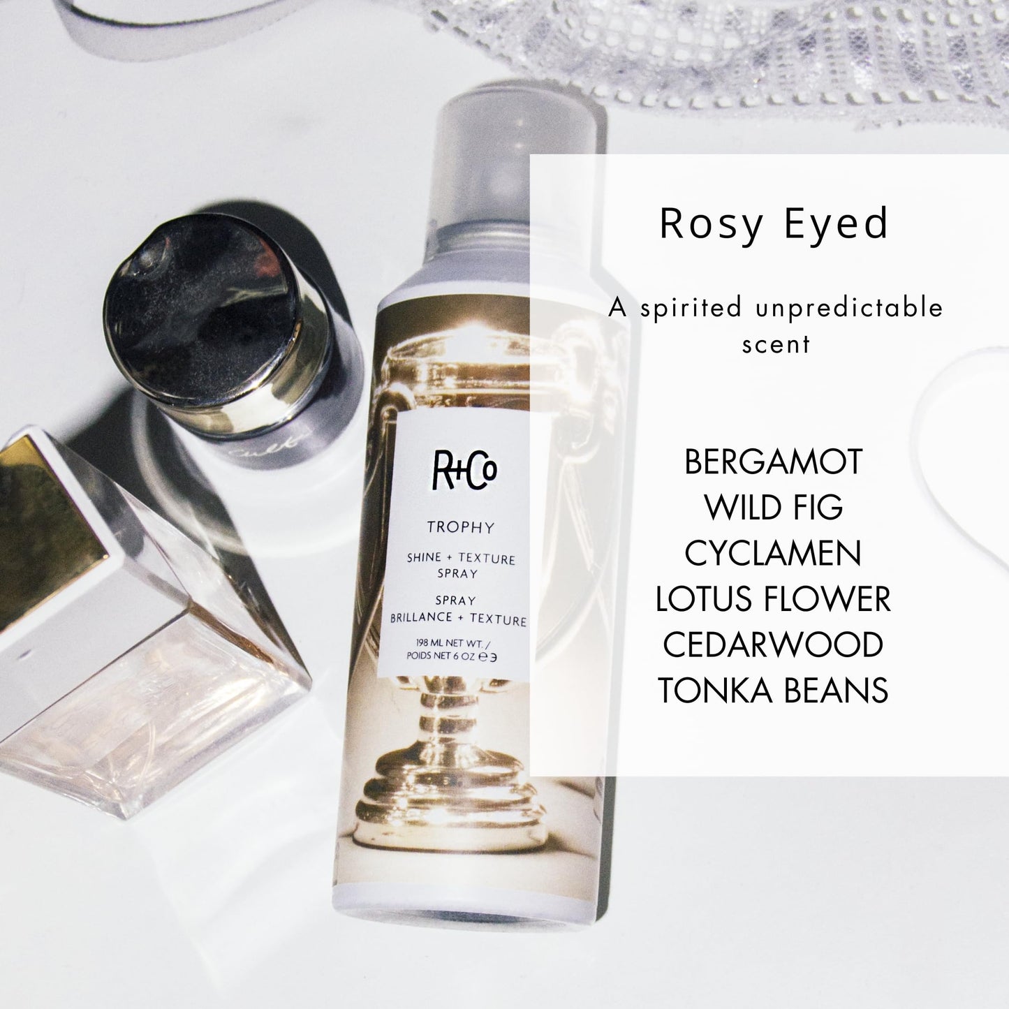 R+Co Trophy Shine + Texture Spray 198 ml / 6 oz Beauty & Personal Care R+Co