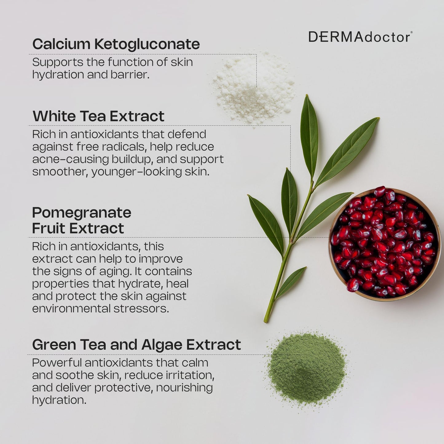 DERMAdoctor Serum For Face Anti Aging, Wrinkle Revenge Hyaluronic Acid Serum for Face, Dermatologist Formulated Hydrating Serum, Wrinkle Filler Beauty & Personal Care DERMAdoctor
