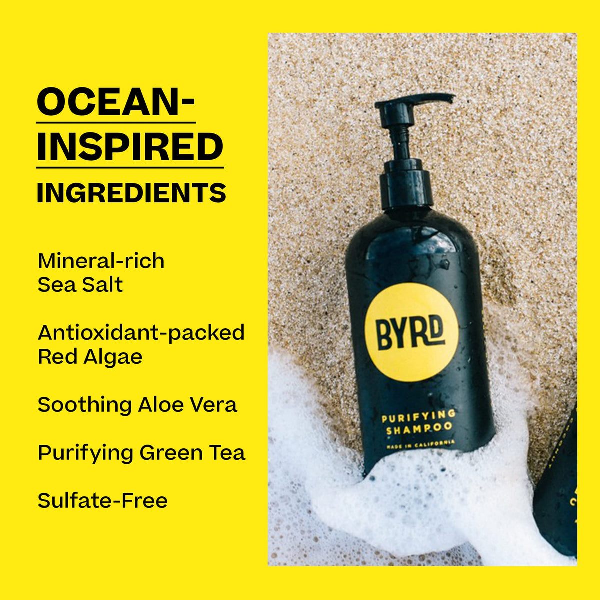 BYRD Purifying Shampoo, Gentle & Sulfate-Free Daily Cleanser, 16 oz