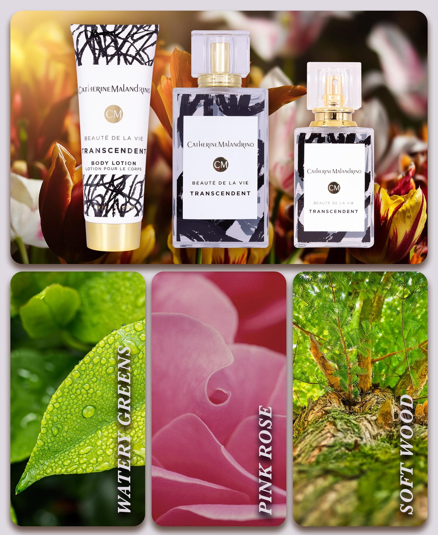 Transcendent by Catherine Malandrino Eau de Parfum 3 Piece Gift Set for Women Beauty & Personal Care Catherine Malandrino
