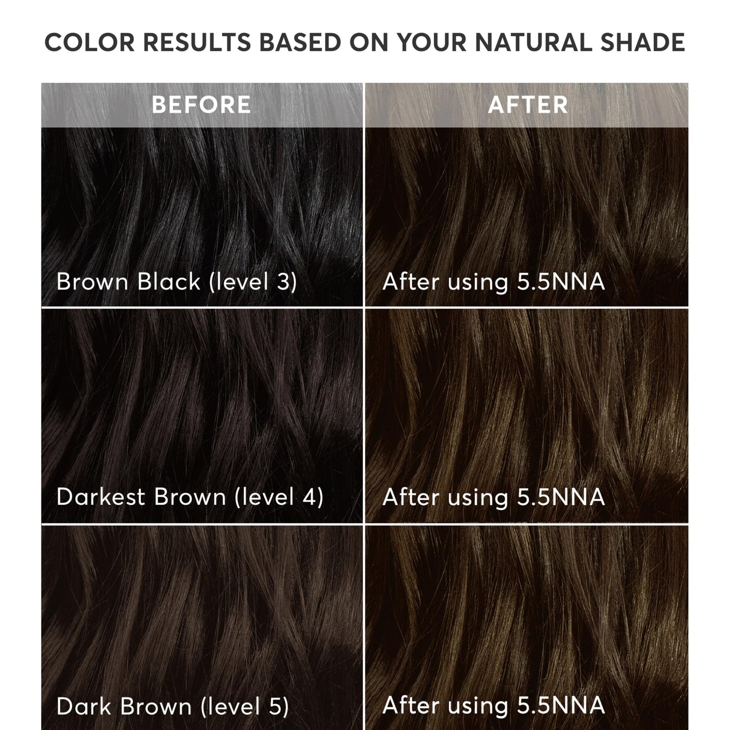 Madison Reed Radiant Hair Color Kit - 100% Gray Coverage for Resistant Grays, 5.5NNN Dark Brown with Warm Golden Tones (Modena Brown) | PPD-Free Beauty & Personal Care Madison Reed