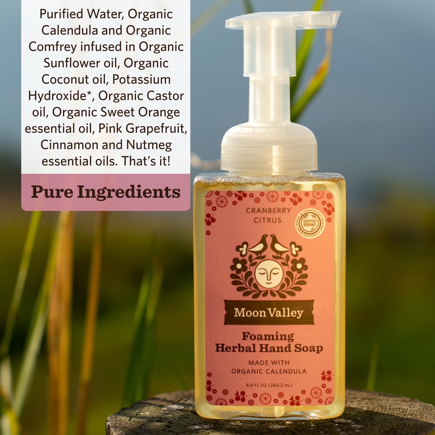Moon Valley Herbal Foaming Hand Soap, Vegan (Cranberry Citrus, Recyclable Bottle) Beauty & Personal Care Moon Valley Organics