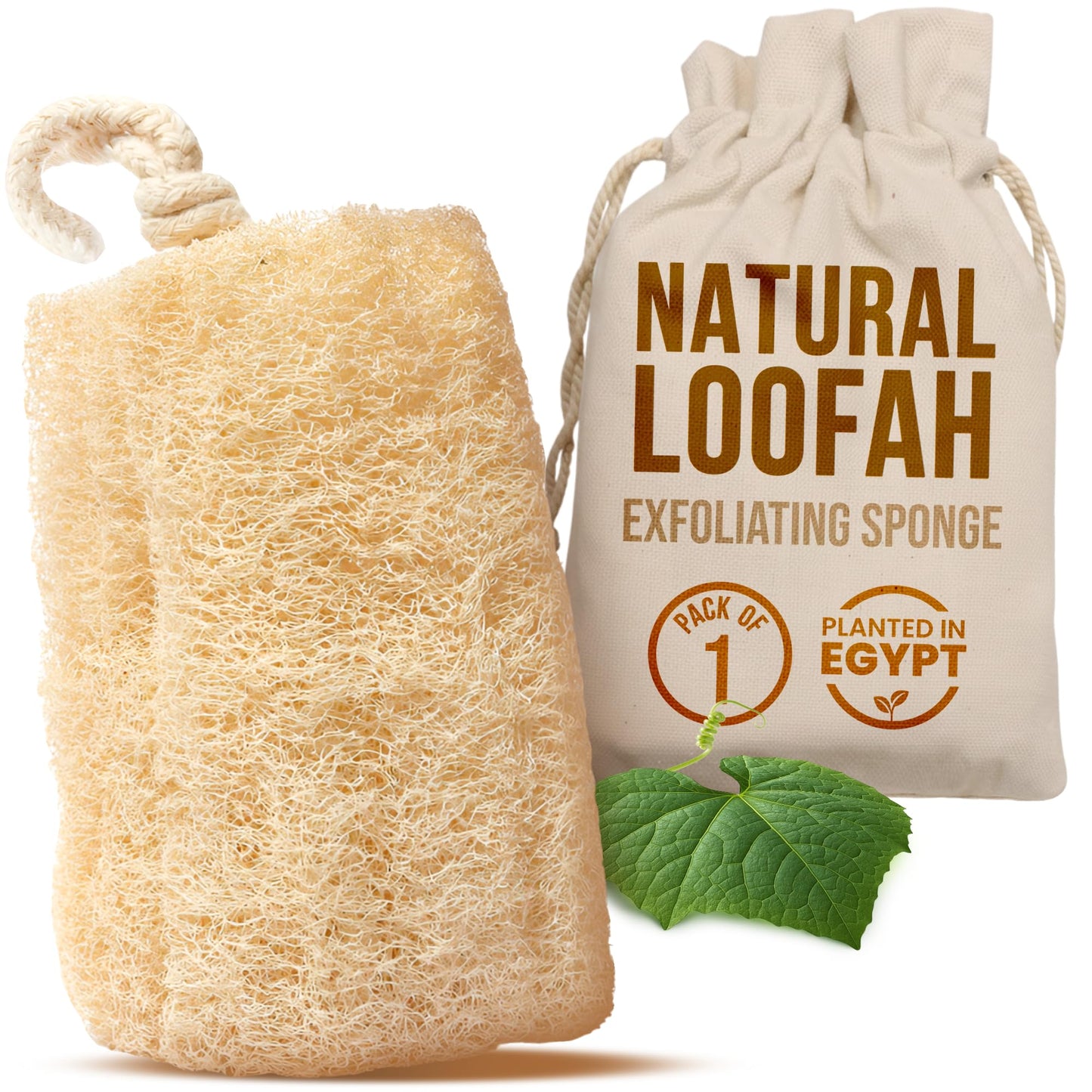 CraftsOfEgypt Natural Loofah Sponge - Egyptian Luffa Body Scrubber Pack of 1 for Men & Women, Natural Bath & Shower Loofah Exfoliator, All Natural Beauty & Personal Care CraftsOfEgypt
