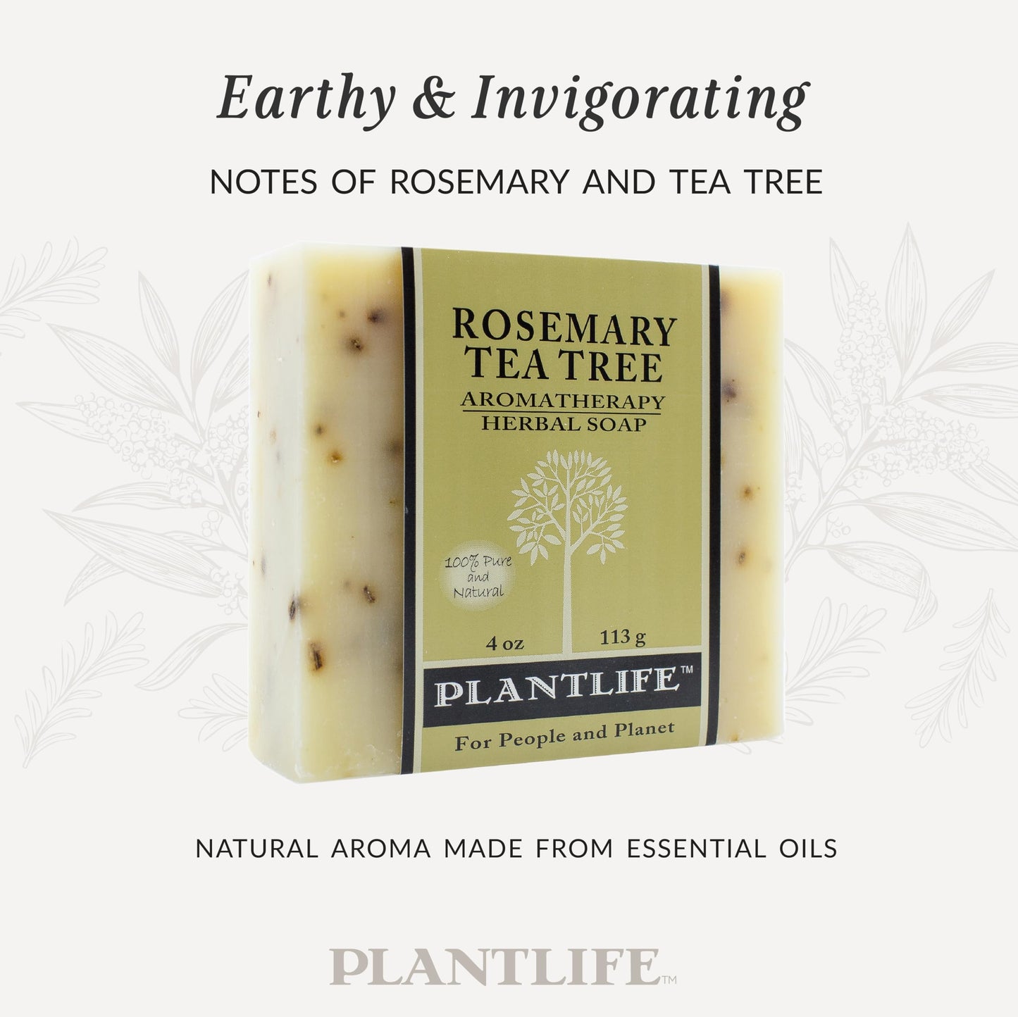 Plantlife Rosemary Tea Tree Bar Soap - Moisturizing and Soothing Soap for Your Skin - Hand Crafted Using Plant-Based Ingredients - Made in California Beauty & Personal Care Plantlife