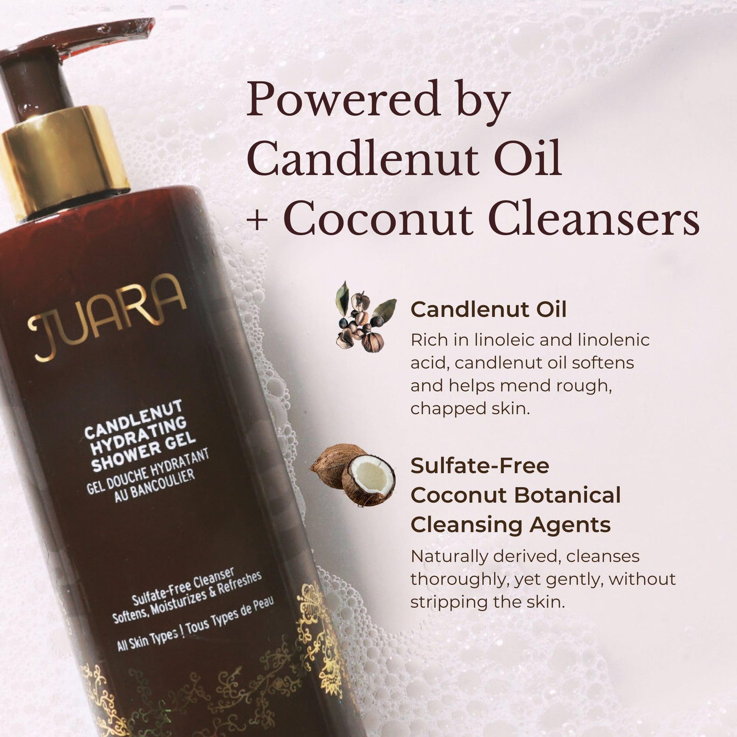 Juara Candlenut Hydrating Shower Gel - Sulfate Free Body Wash 12oz - Moisturizing Coconut Body Wash - Natural Shower Gel for Sensitive Skin - Paraben Beauty & Personal Care Juara