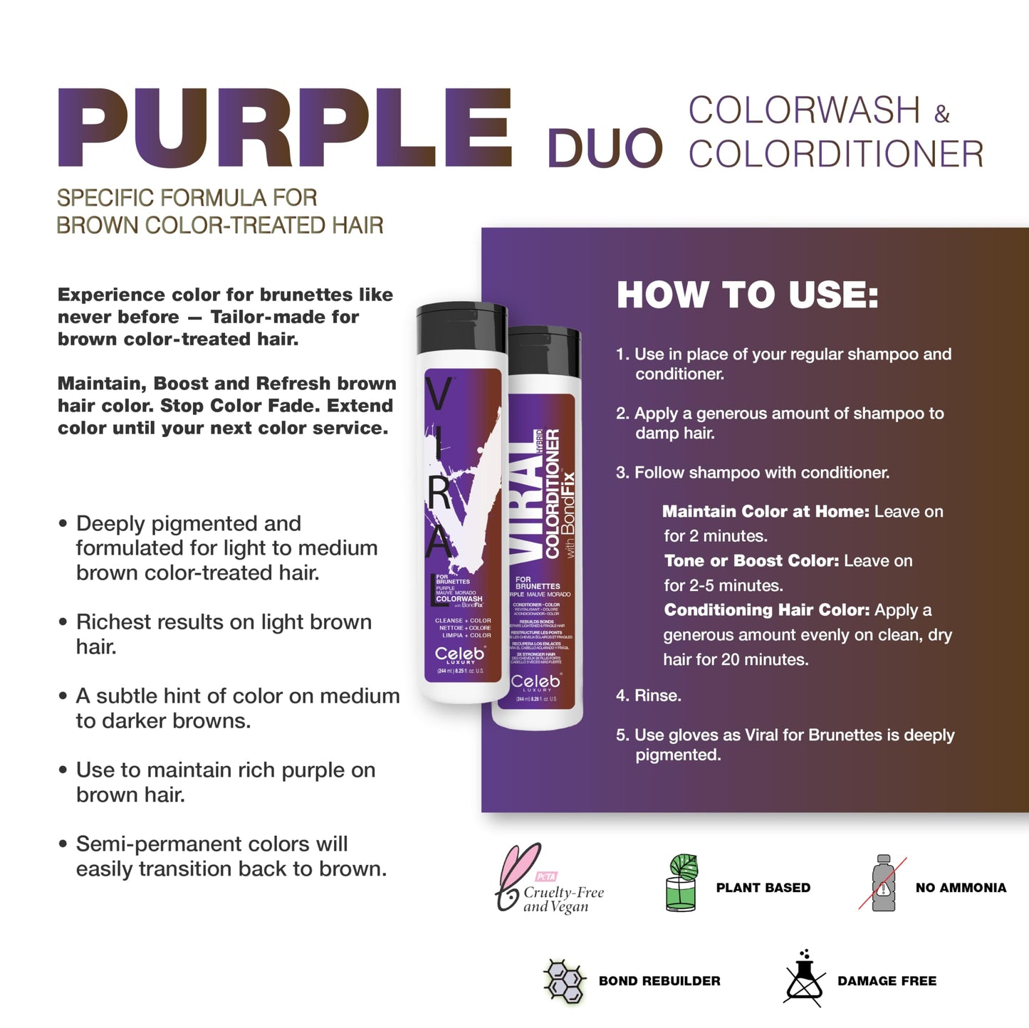 Purple Brunettes Duo Beauty & Personal Care Celeb Luxury