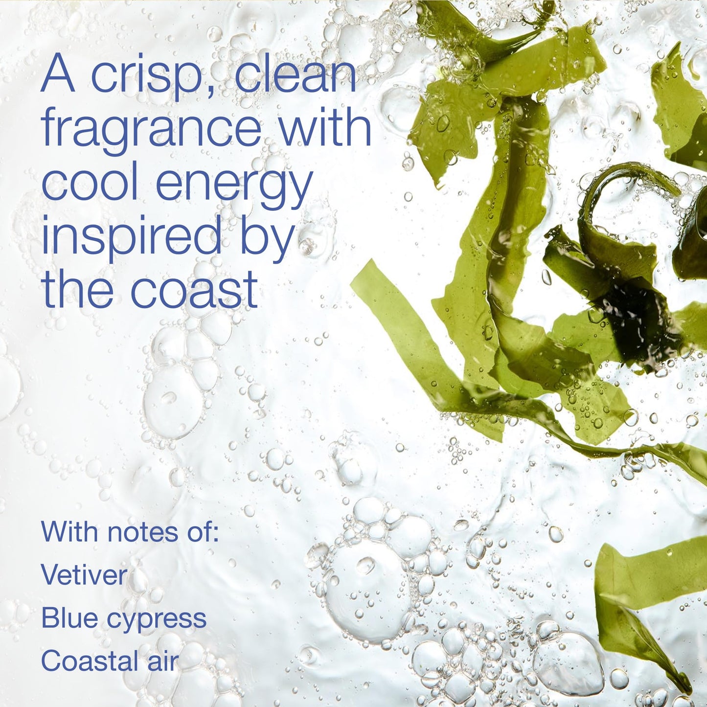 Bath & Body Works Body Spray for Men, Ocean Scent, Men’s Spray with Long-Lasting Personal Fragrance, Fresh Coastal Air & Cypress Scent, 3.7 oz - 2 Beauty and Personal Care Bath & Body Works