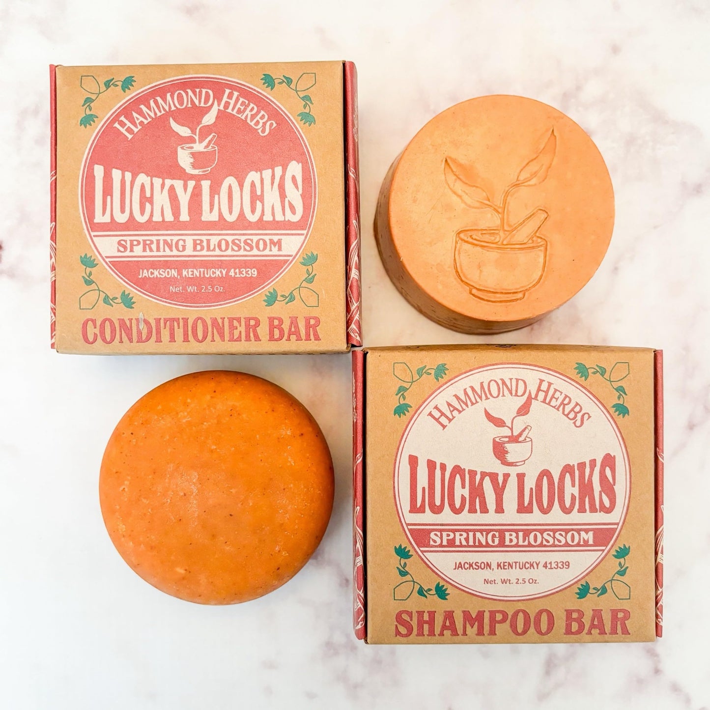 Lucky Locks | Pick Your Scent | Natural Shampoo & Conditioner Bar Set | Zero Waste Hair Care | Sulfate Free (Spring Blossom) Beauty & Personal Care Hammond Herbs