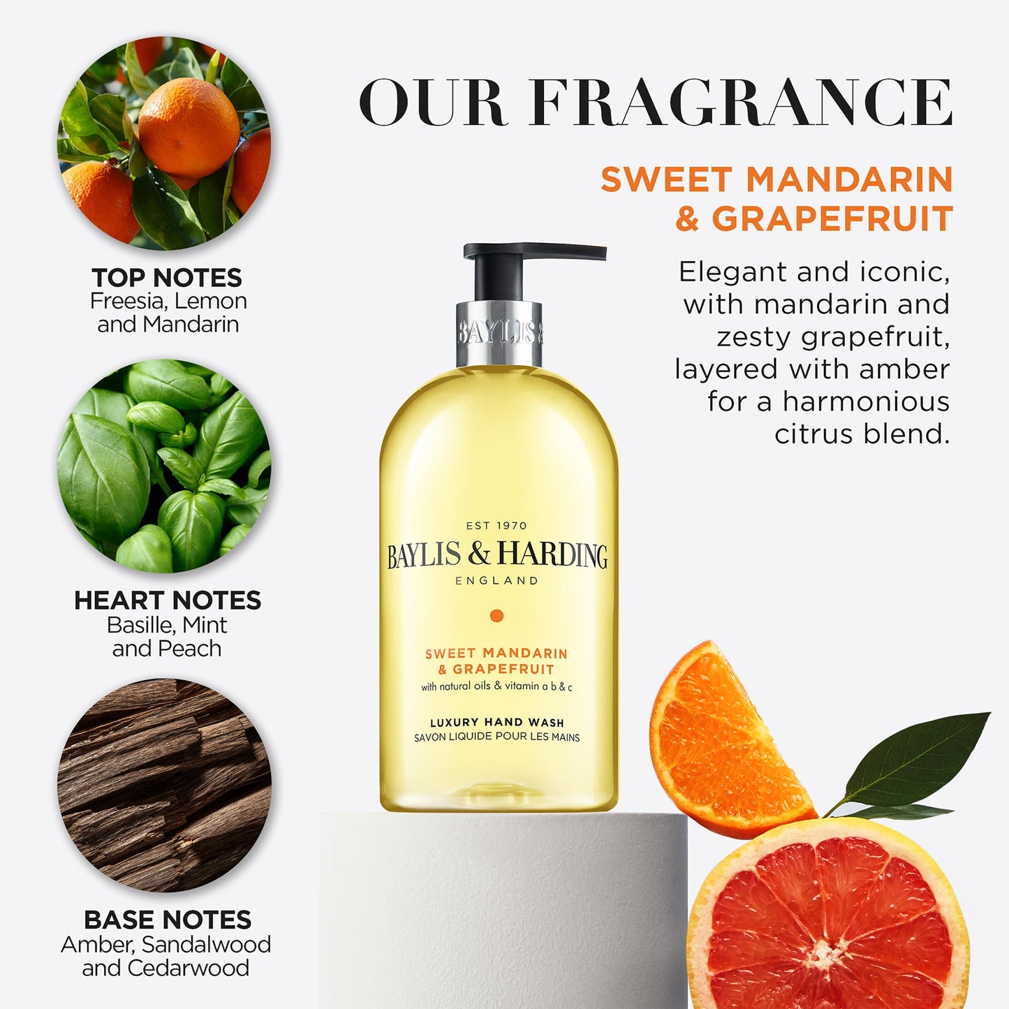 Baylis & Harding Liquid Hand Soap Wash with Dispenser, Sweet Mandarin & Grapefruit, 16.9oz/500ml Beauty & Personal Care Baylis & Harding