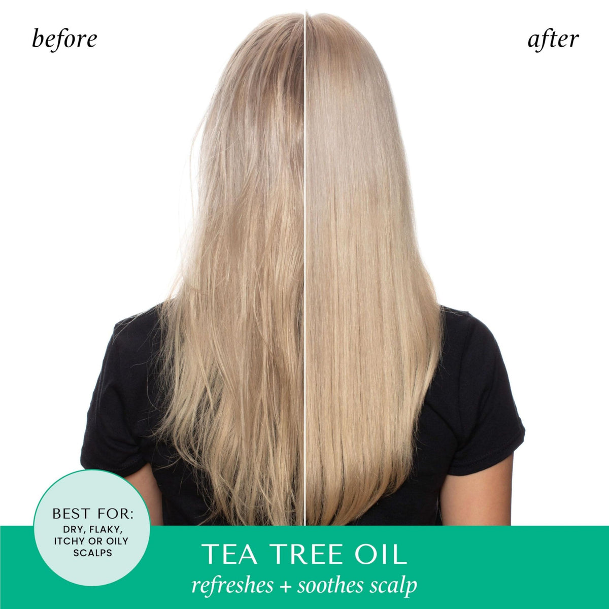 HASK Tea Tree & Rosemary Oil Scalp Care Shampoo - 12 fl oz