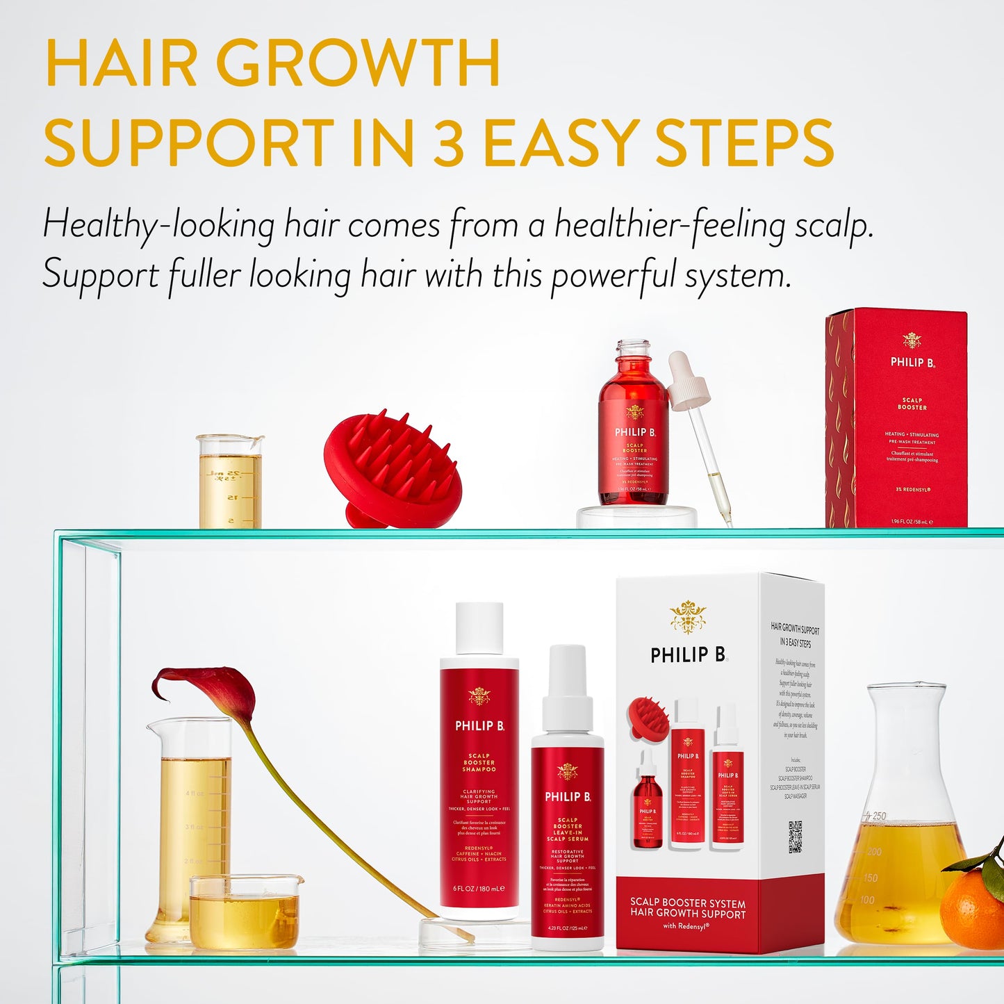 Philip B. Scalp Booster System - Includes Pre-Wash Scalp Treatment, Shampoo, Leave-In Conditioner and Scalp Massager Beauty & Personal Care PHILIP B
