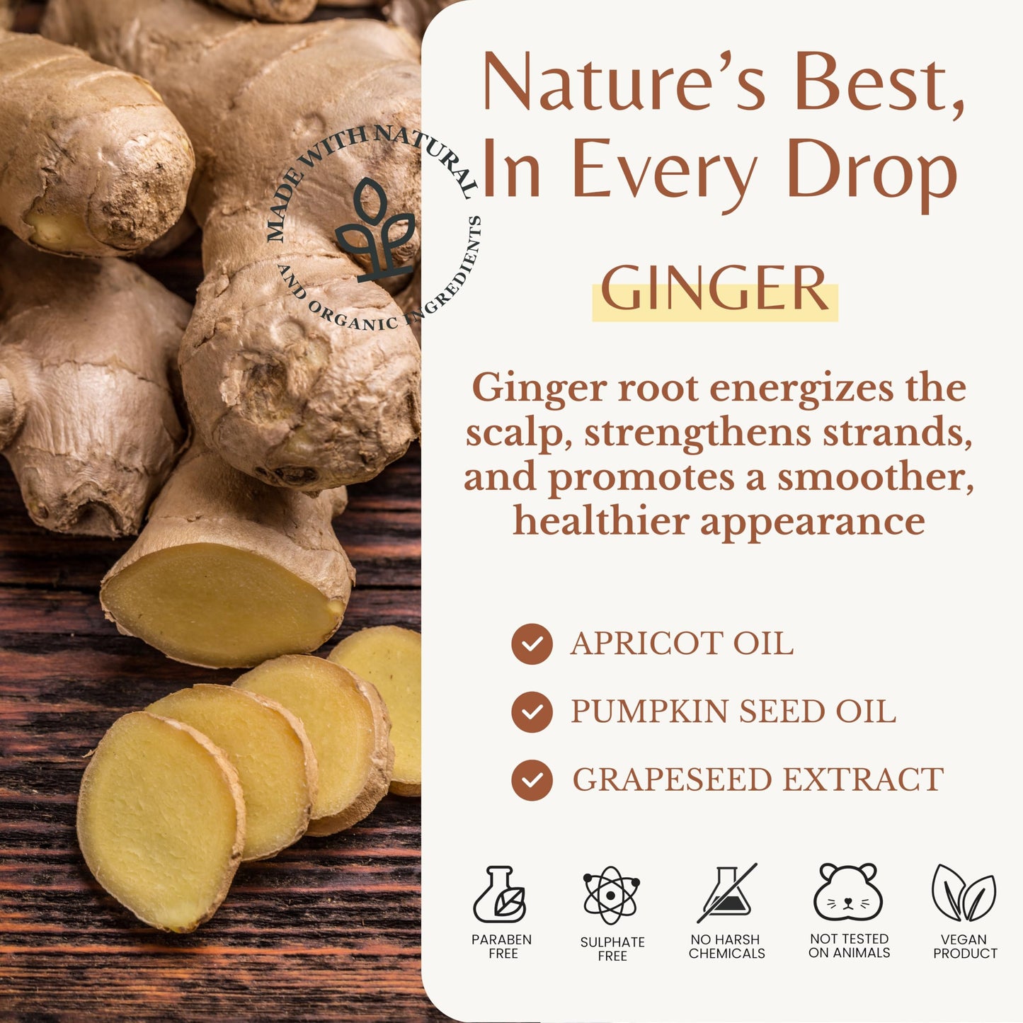 Edenika Botanicals Ginger Shampoo and Conditioner Set, Fortifying Formula with Certified and Organic Ingredients Naturally Nourish, Smooth Beauty & Personal Care EDENIKA BOTANICALS