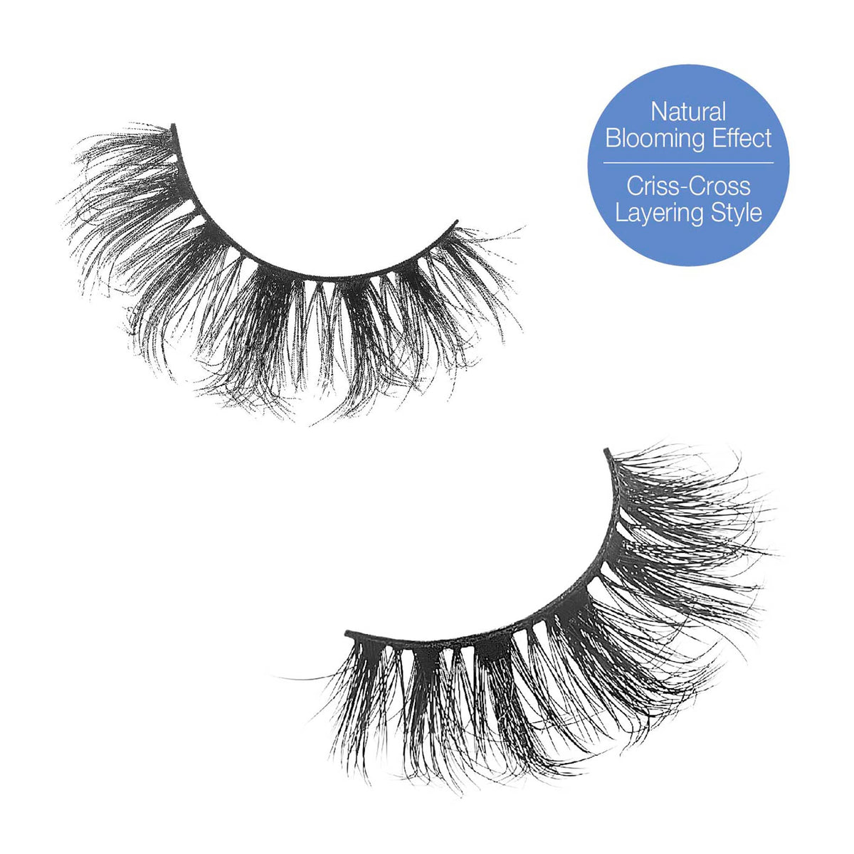 iEnvy Emflowered Natural Blooming Effect Fake Eyelashes Flared 3D False Lashes (06) Beauty & Personal Care i•ENVY