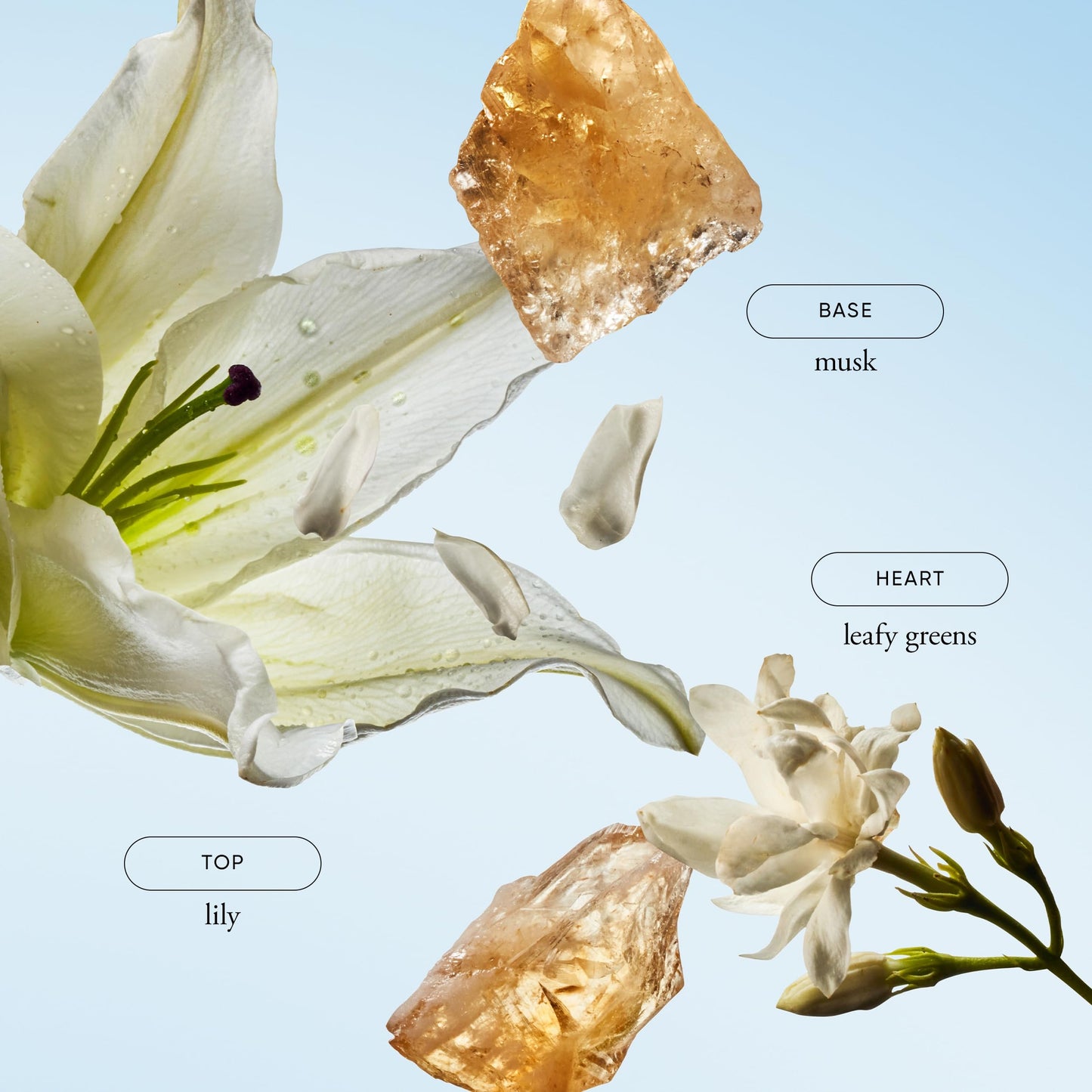 philosophy pure grace body spray - crisp & clean women's scent - with notes of water lily, leafy greens & musk - luxury body spritz for women - long Beauty & Personal Care philosophy