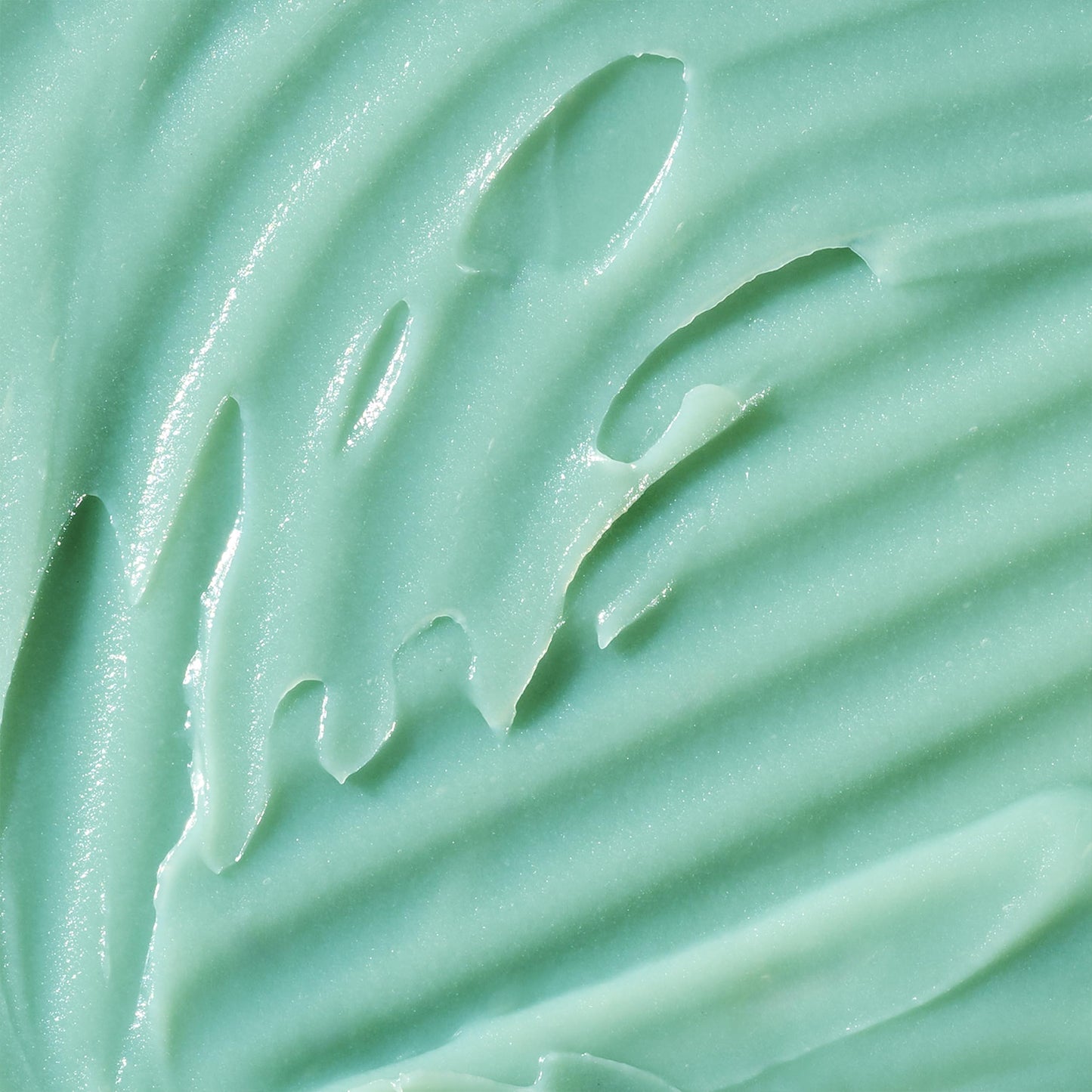 BAMBU EARTH Intense Hydration Cactus Face Moisturizer - Deeply Hydrate with Pressed Serum Formula - Skincare to Soften Texture, Balanced Complexion Beauty & Personal Care BAMBU EARTH