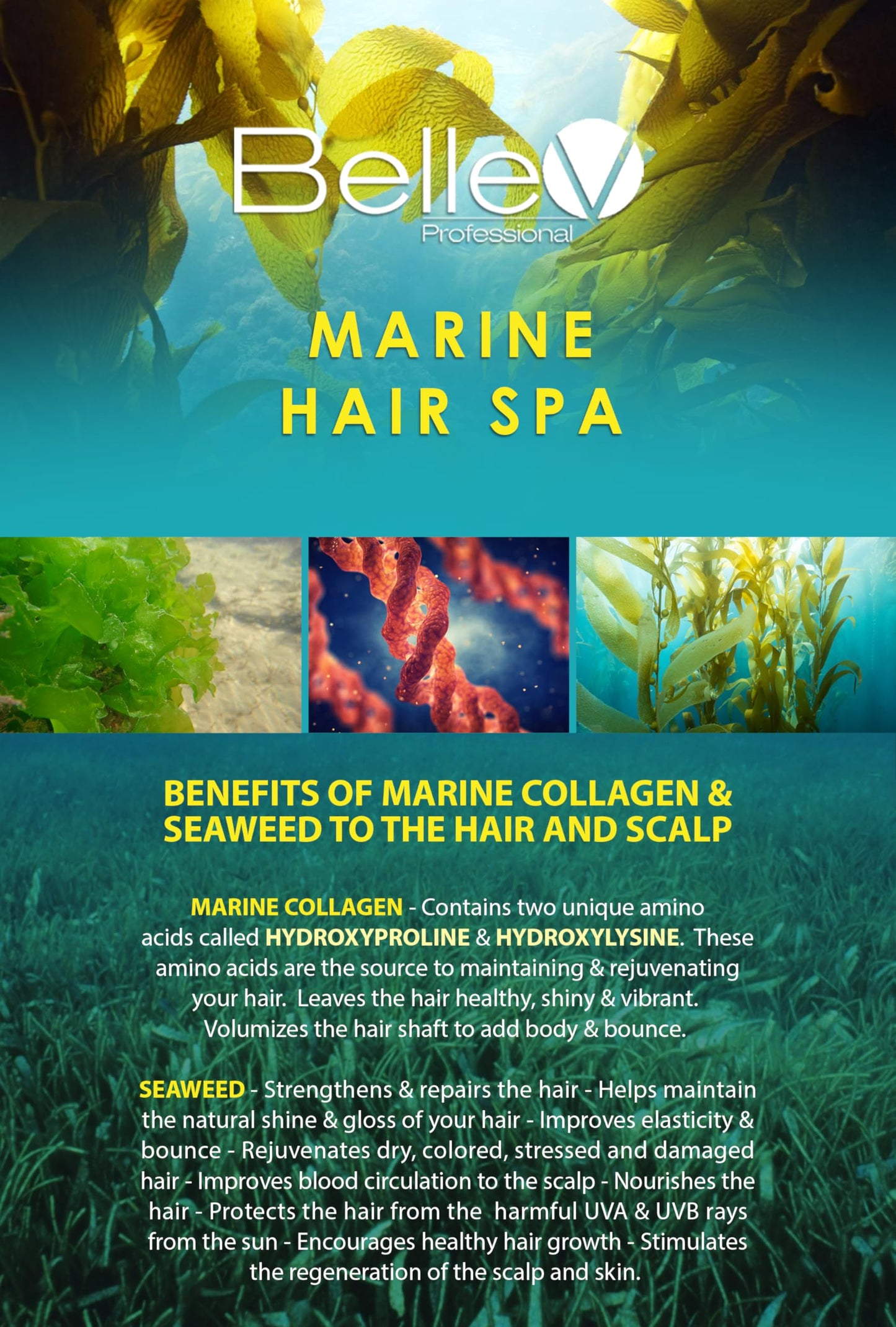 BelleV Professional Marine Hair Spa TRIO SET (16.8 fl oz) Marine Color Shampoo (16.8 fl oz) Marine Conditioner (300g) Brazilian Repair Mask Beauty & Personal Care BelleV