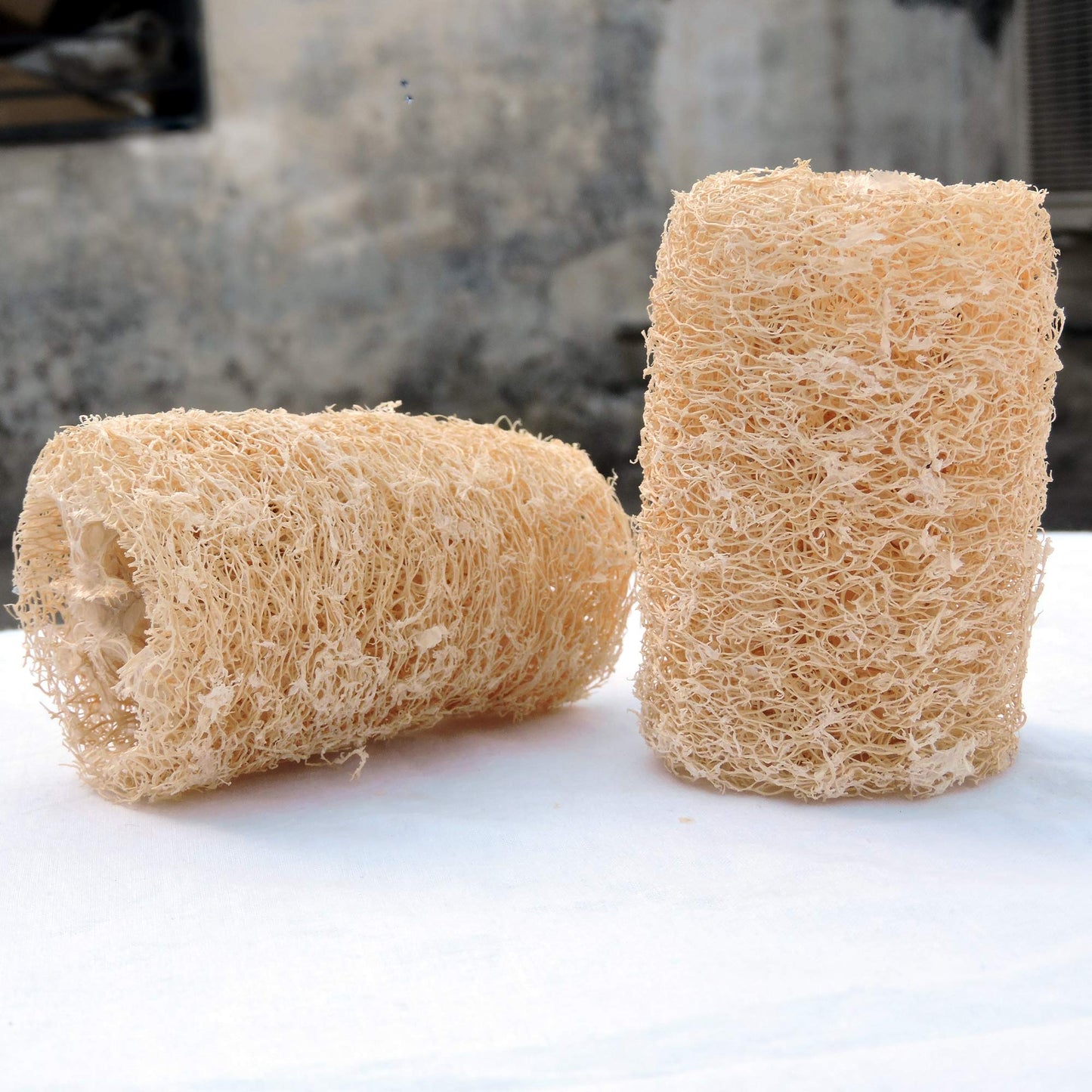 HealthGoodsIn - Organic Loofa Natural Bath Sponge, Set of 2 Exfoliating Bath Sponge Scrubber | Naturally Grown Loofah (Set of 2) Beauty & Personal Care HealthGoodsIn