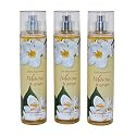 Bath & Body Works Fragrance Mist 3-Pack 8oz Each (White Tea and Ginger) Beauty & Personal Care Bath & Body Works