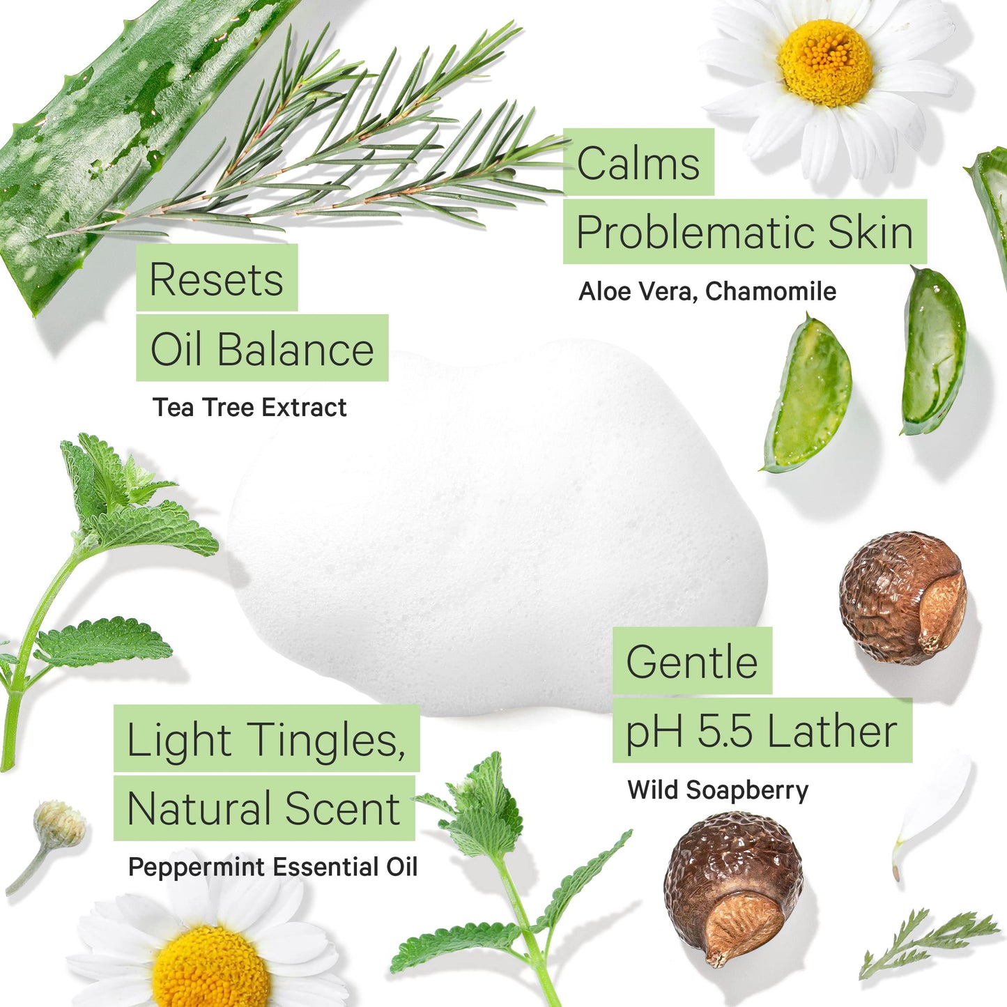 Tree to Tub Sensitive Skin Face Wash for Oily or Combination Skin - Gentle Tea Tree Face Cleanser for Women & Men, Oil Free Daily Foaming Facial Beauty & Personal Care Tree to Tub
