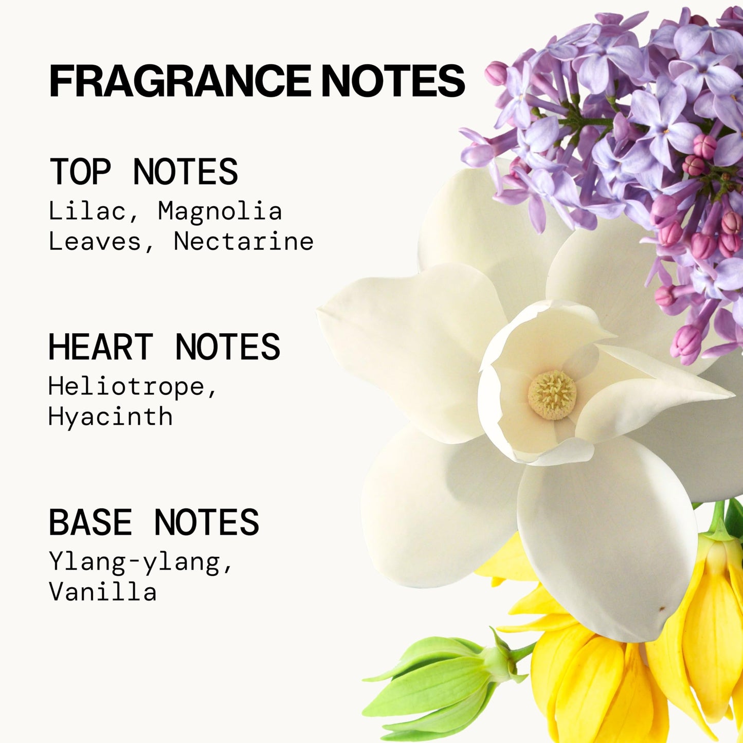 Pacifica French Lilac Hair & Body Mist - Clean Vegan Floral Hair Perfume Spray for Women, Fresh-Cut Lilac, Magnolia & Heliotrope Notes, Alcohol-Free Beauty & Personal Care Pacifica